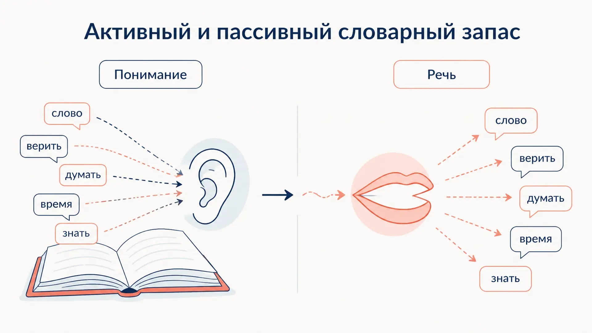 Активный и пассивный словарный запас