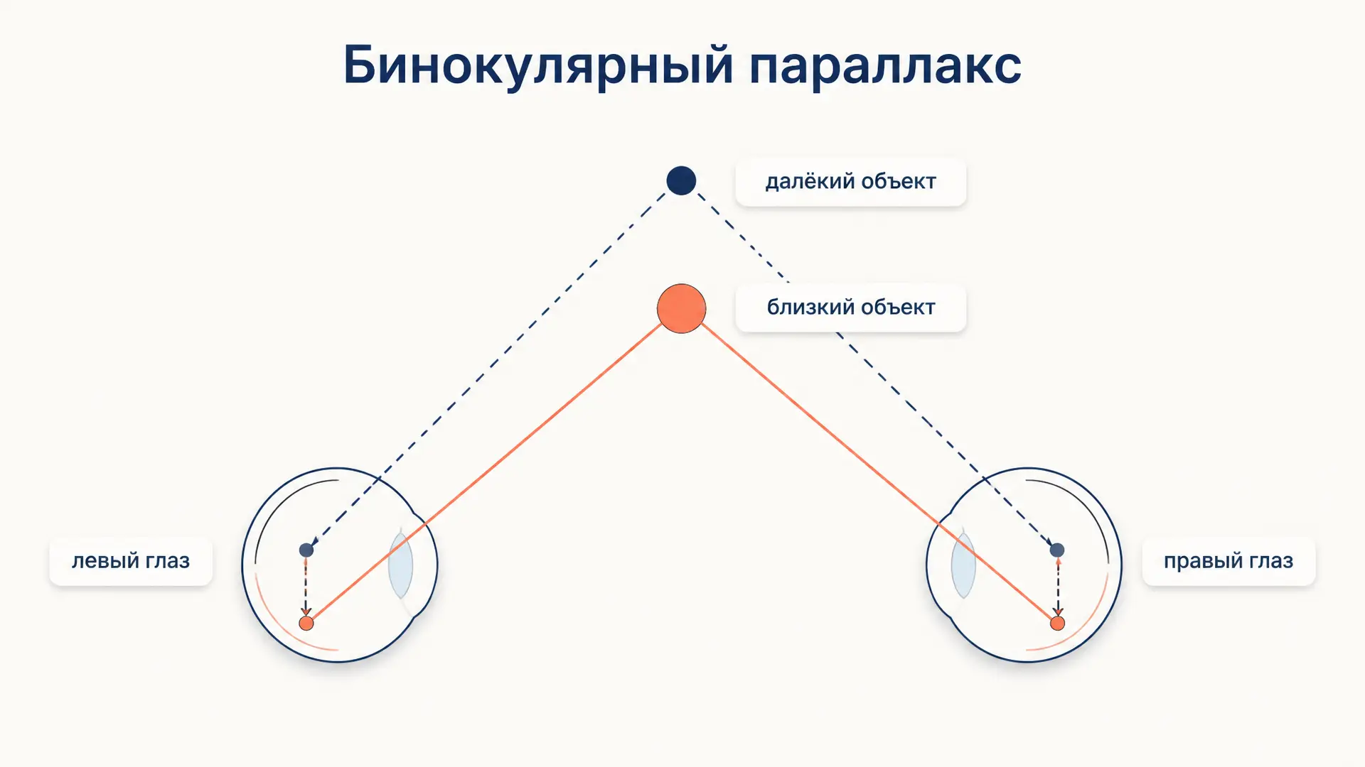 Бинокулярный параллакс: откуда берётся стереоэффект
