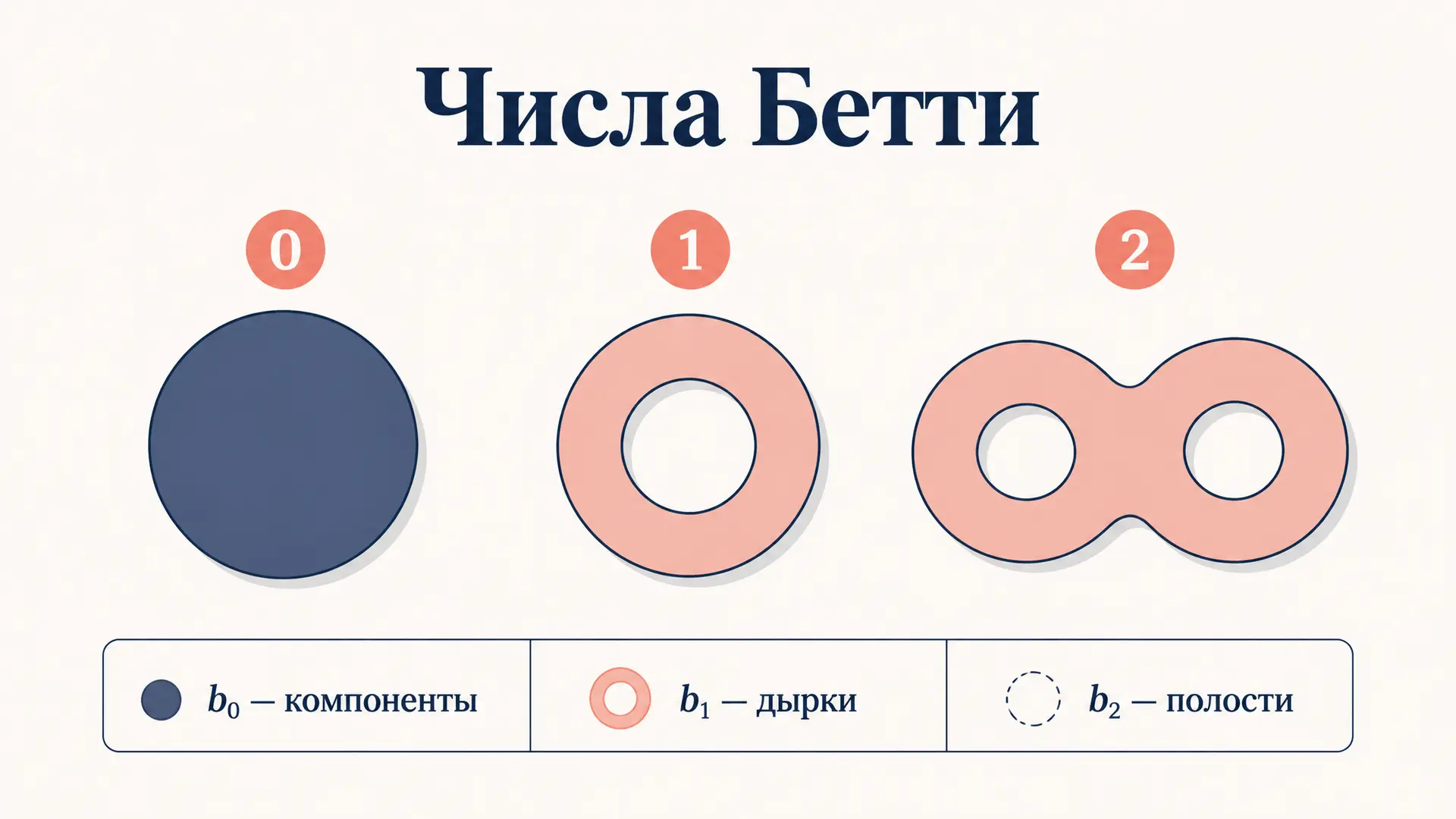 Число Бетти: как посчитать дырки в пространстве