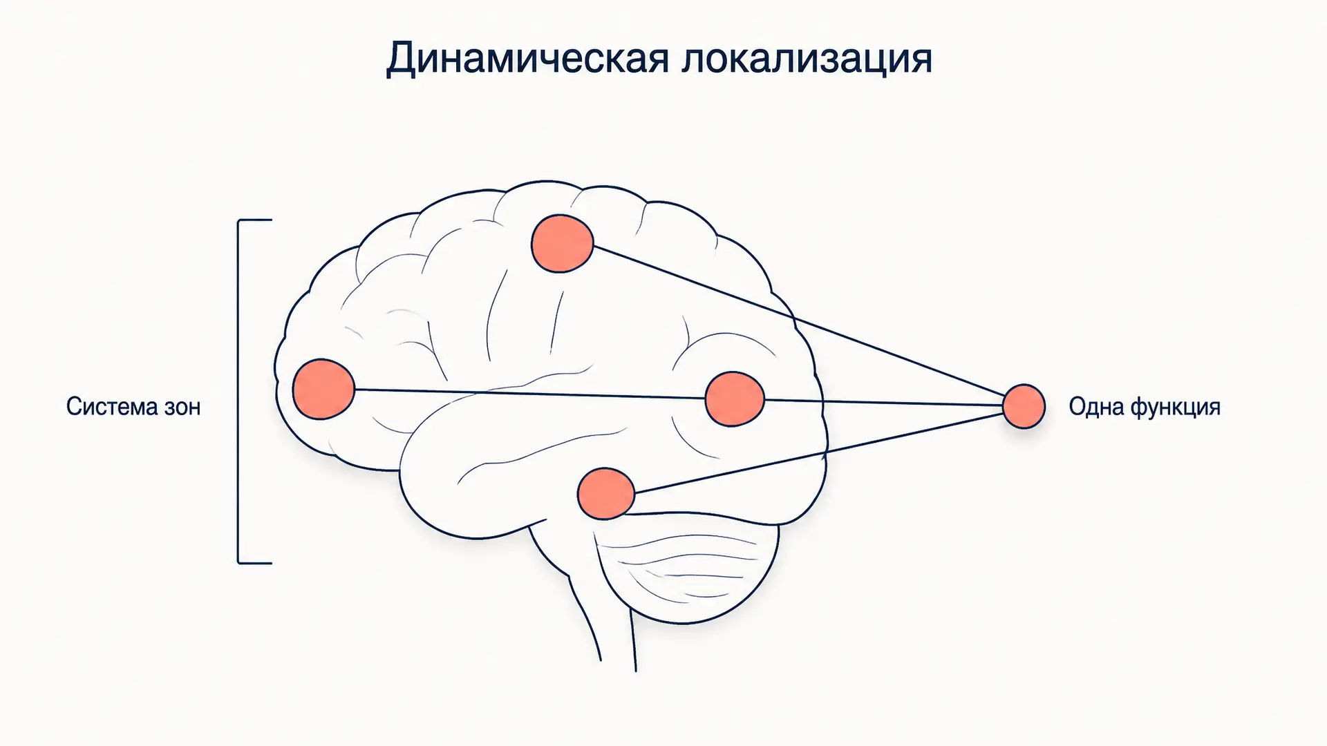 Динамическая локализация функций: принцип Лурии
