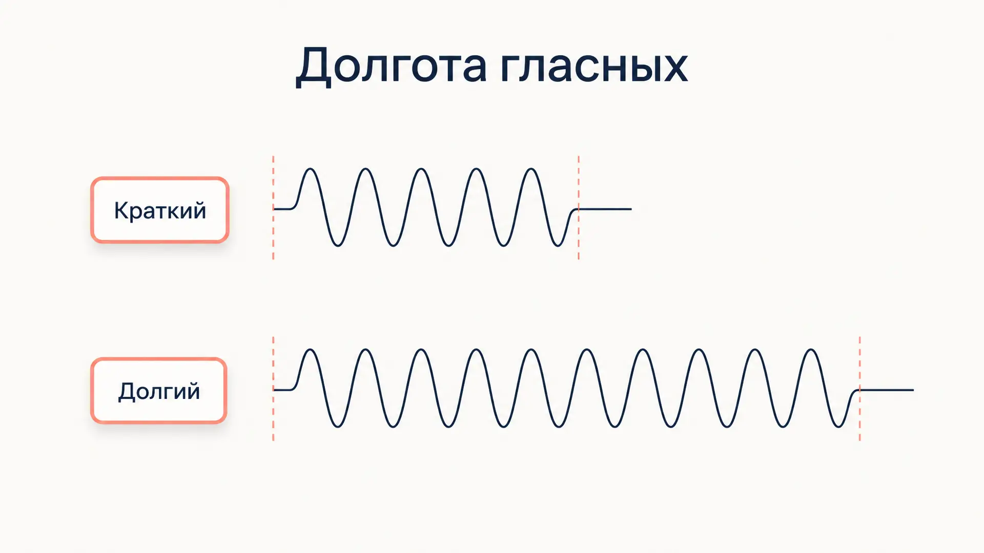 Долгота гласных: фонема, МФА и примеры языков
