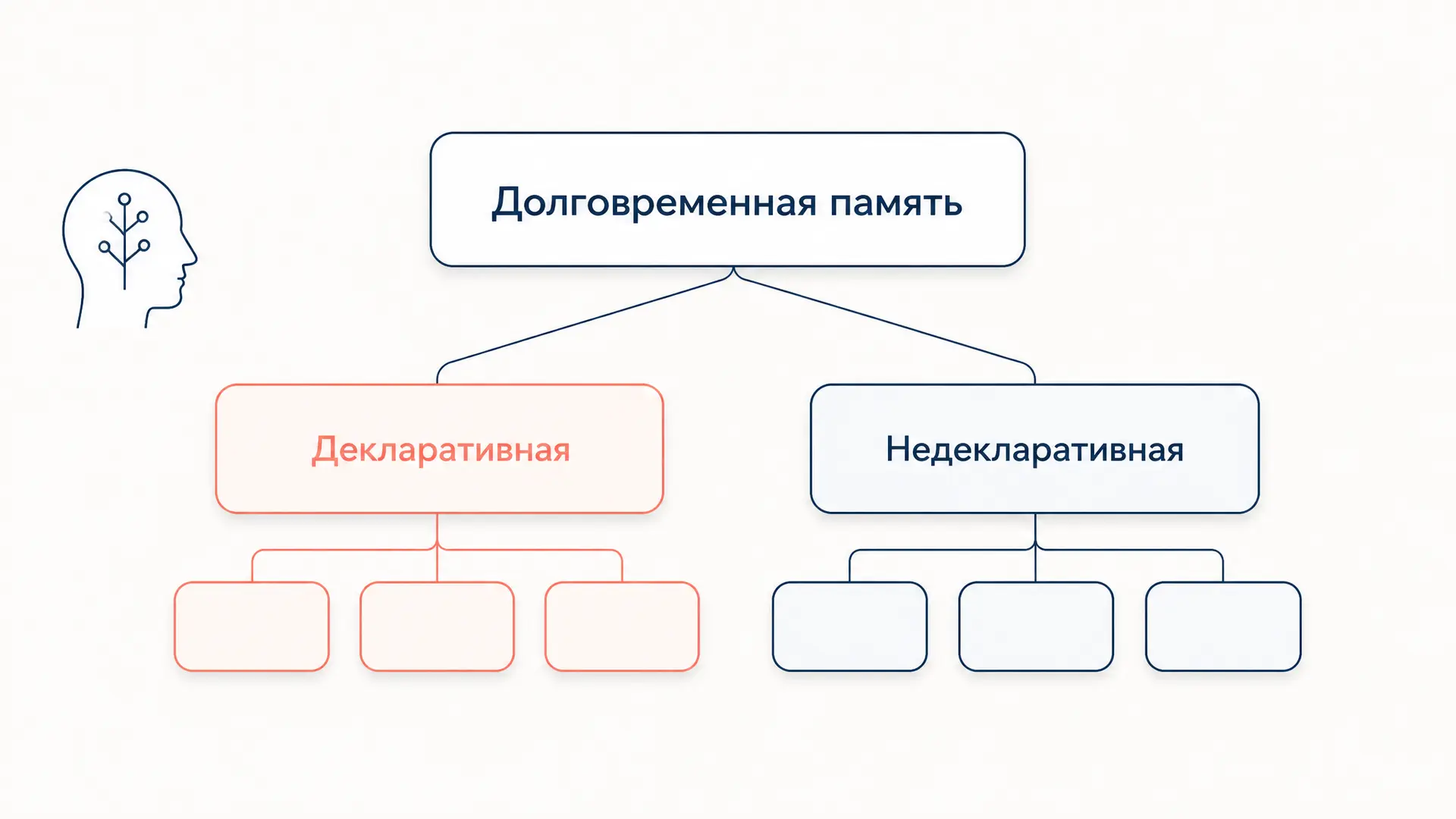 Долговременная память: виды, отличия и примеры