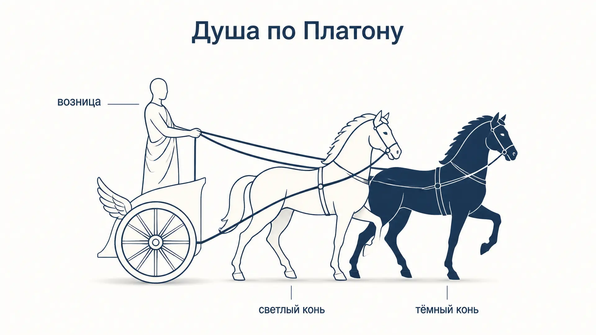 Душа по Платону: три части, бессмертие, колесница