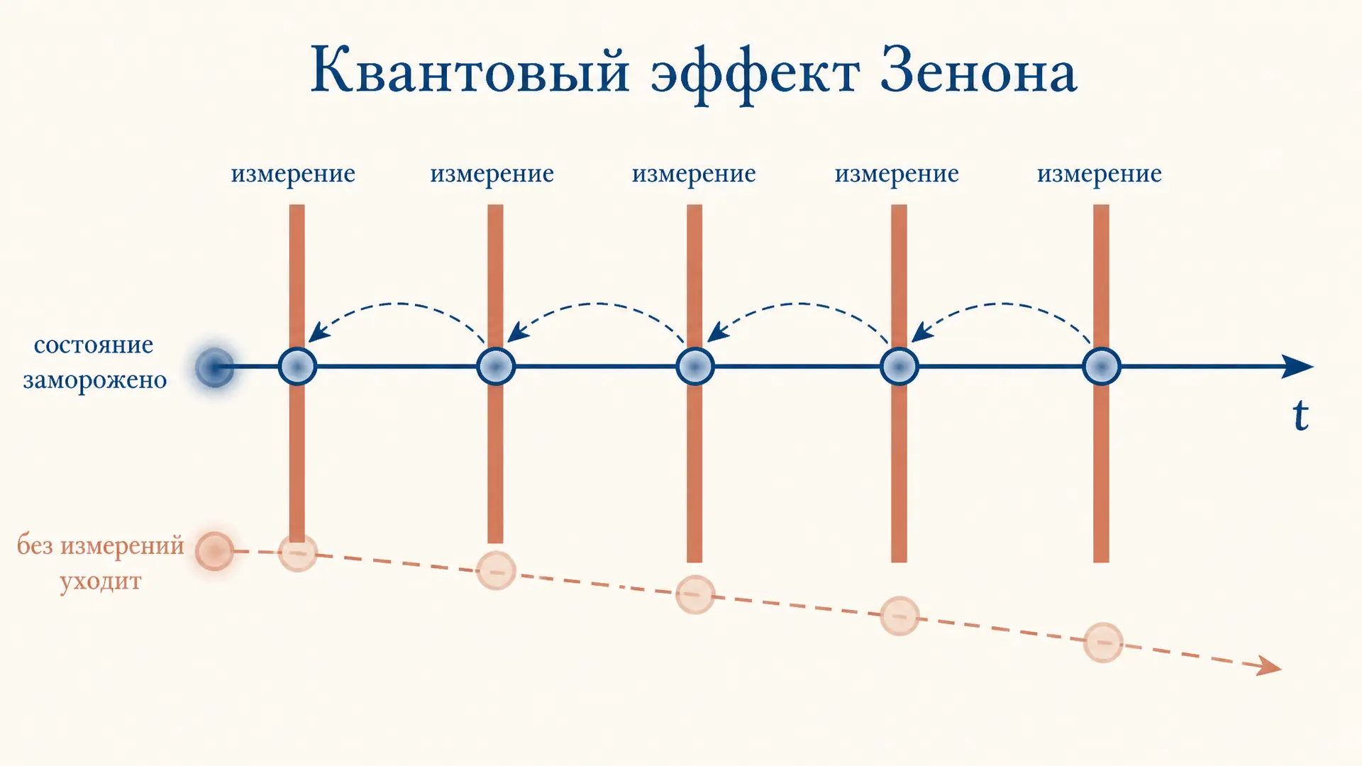 Эффект Зенона квантовый: измерения замораживают систему