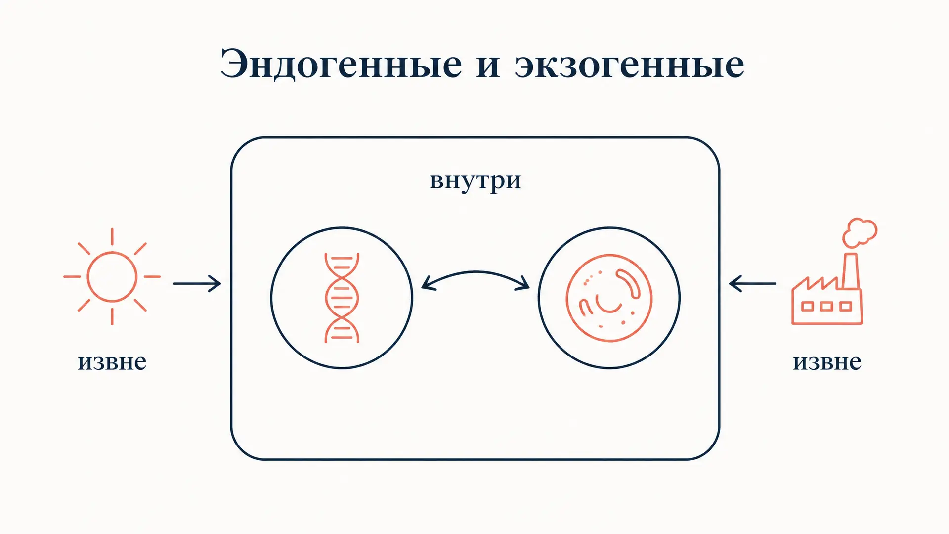 Эндогенные и экзогенные переменные: система уравнений