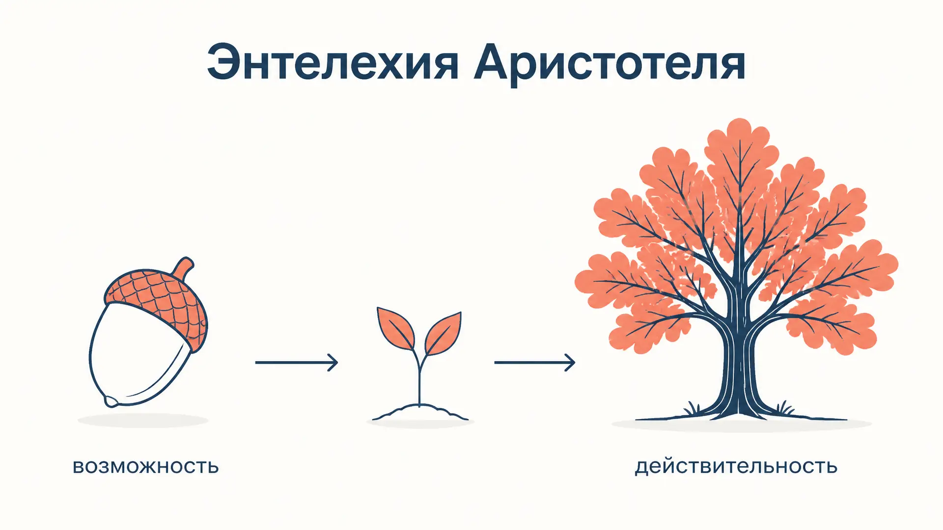 Энтелехия Аристотеля: возможность и действительность