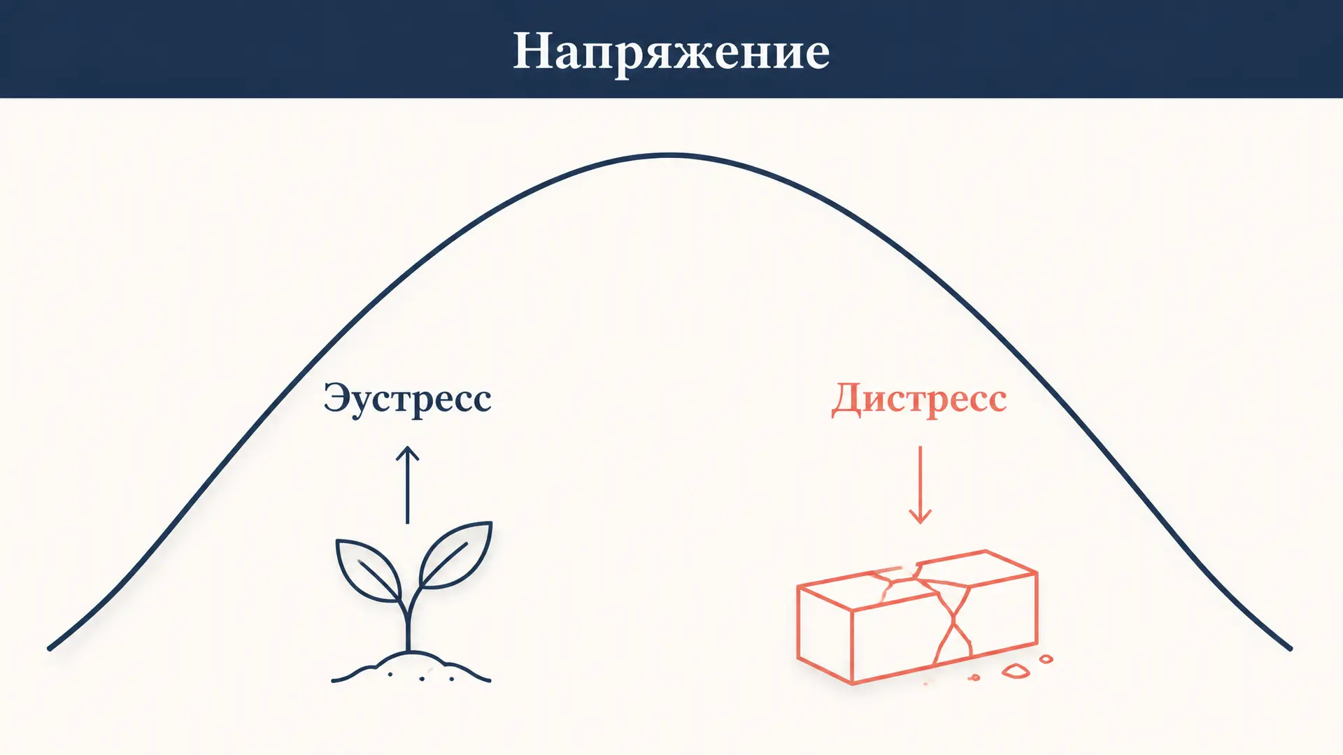 Эустресс и дистресс: где граница полезного стресса