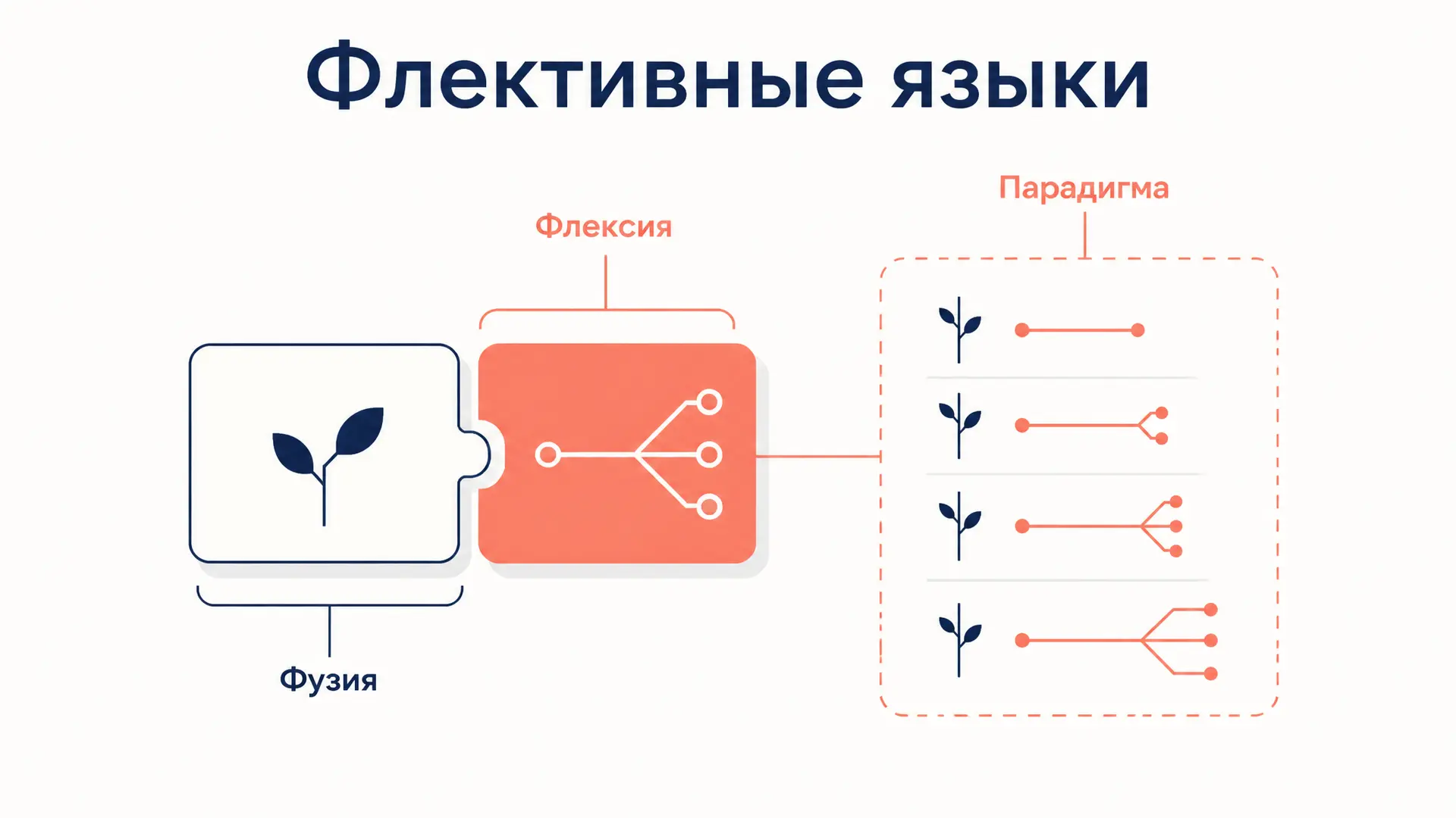 Флективные языки: флексия и примеры