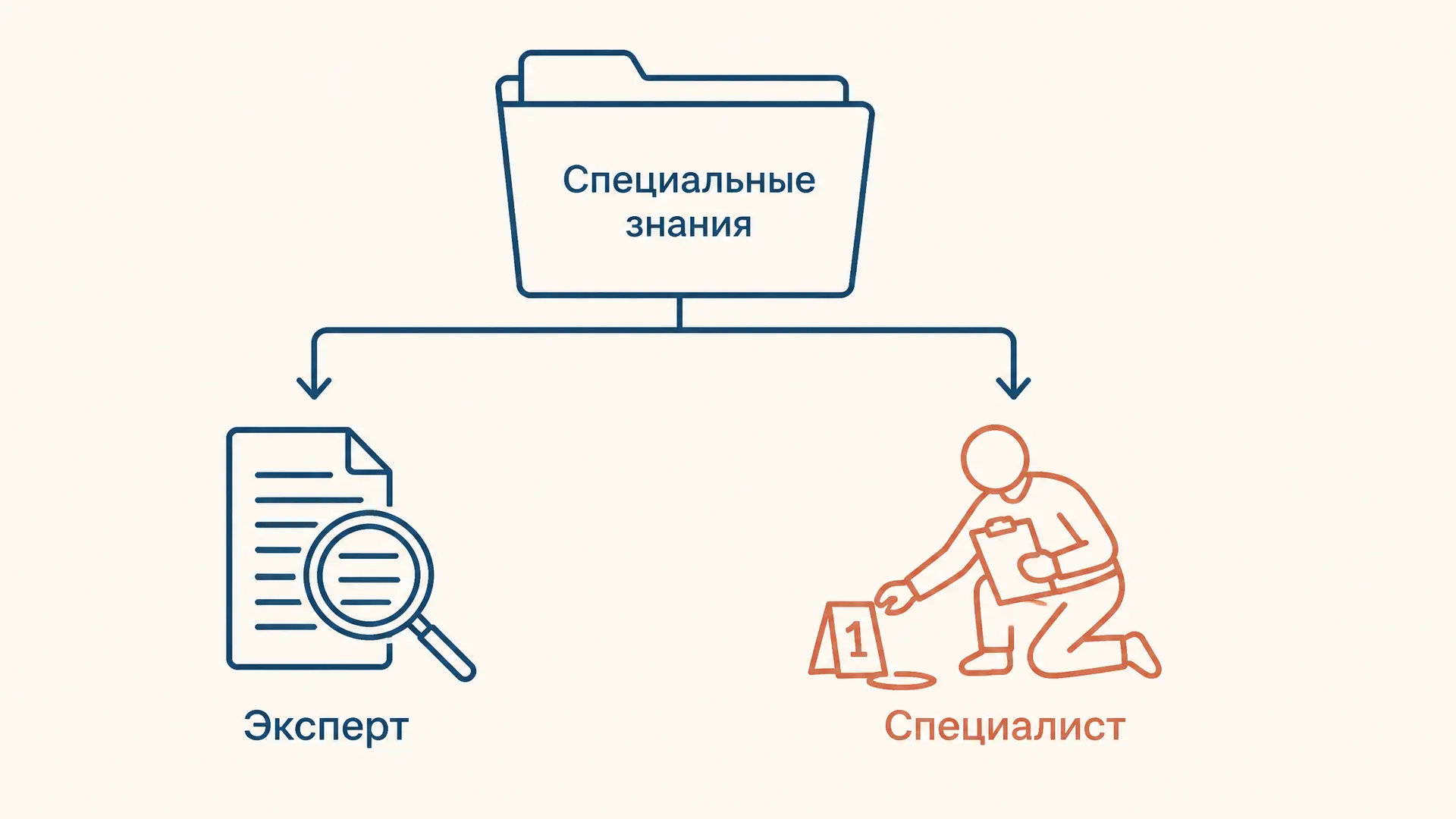 Формы использования специальных знаний в уголовном процессе