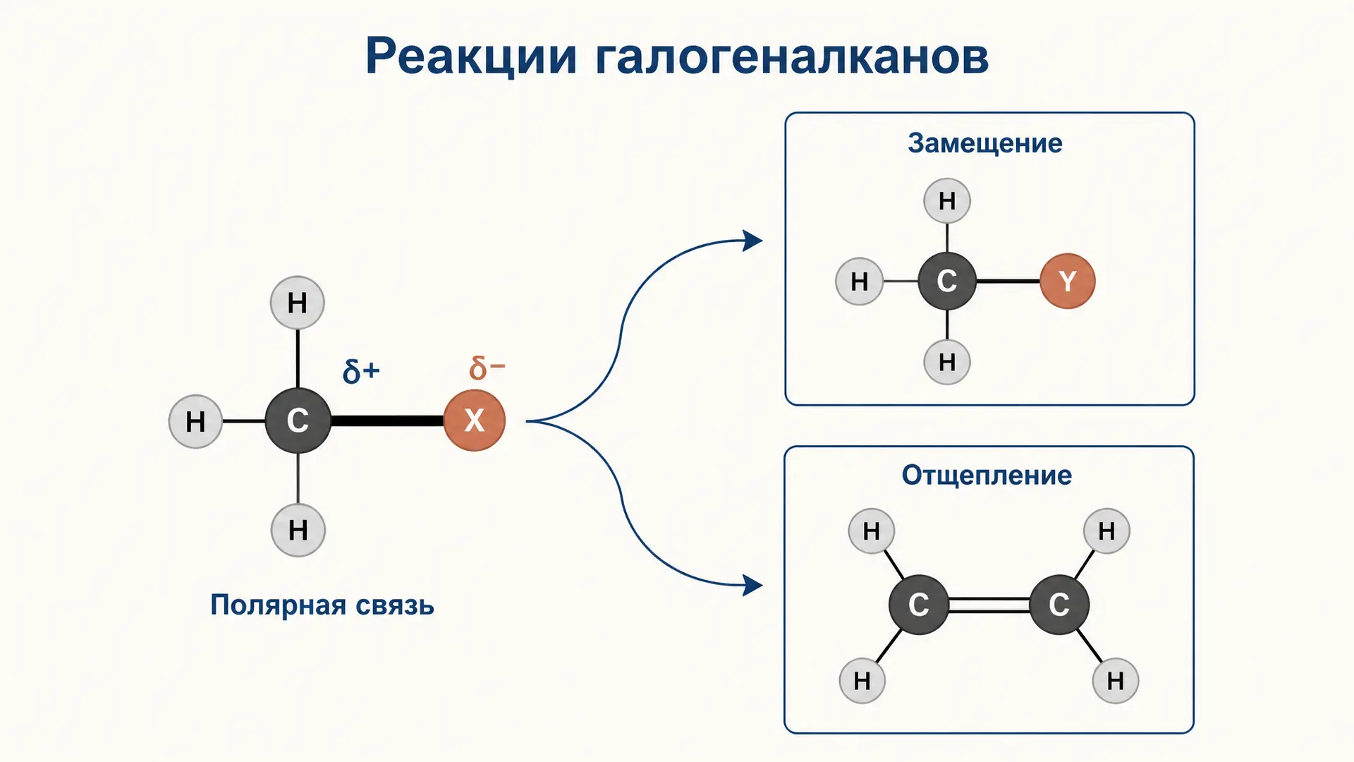Галогеналканы: реакции замещения и отщепления