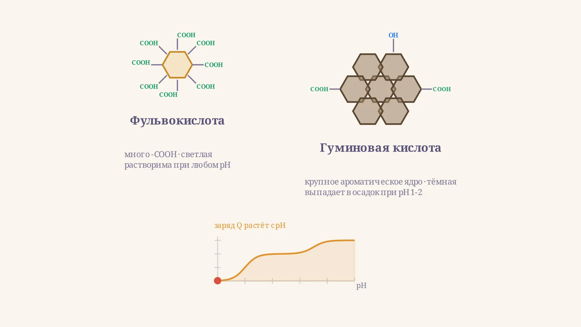 Гуминовые и фульвокислоты: чем отличаются и как считать