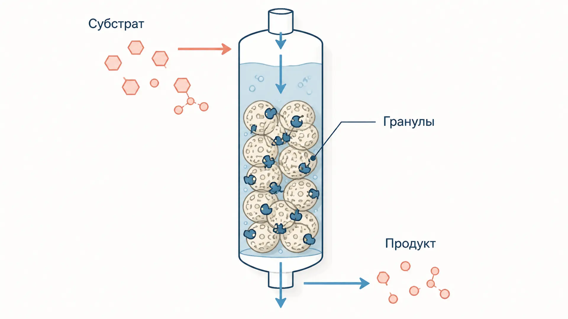 Иммобилизованные ферменты: методы и применение