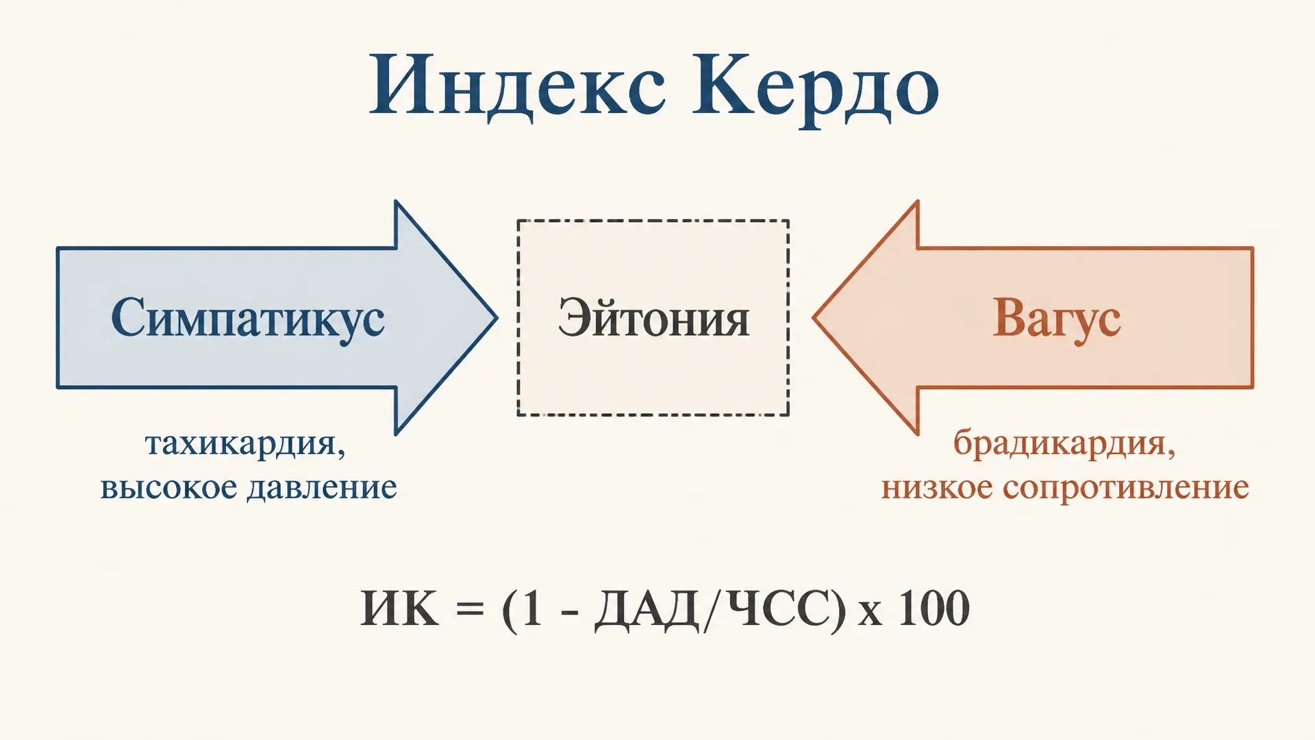 Индекс Кердо: вегетативный тонус сердца и сосудов