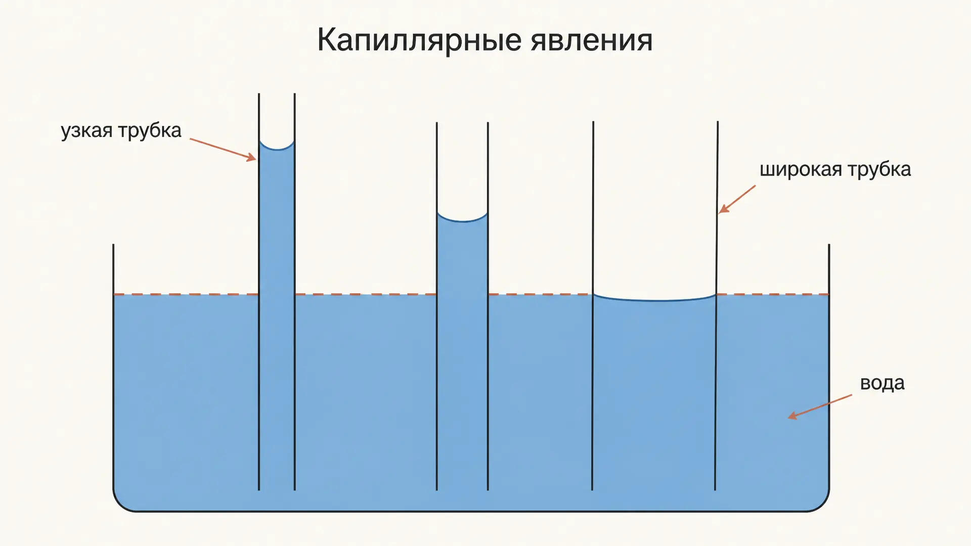 Капиллярные явления: закон Жюрена и решение задач