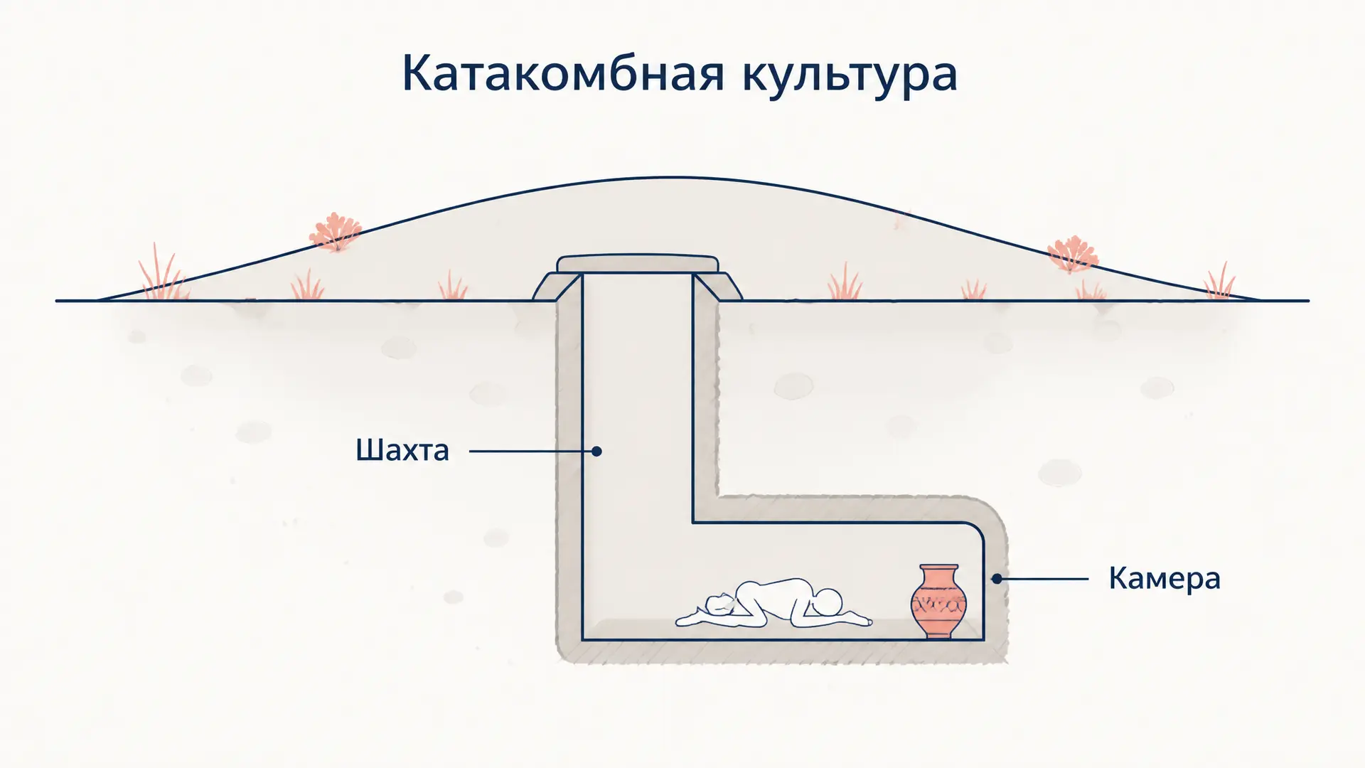Катакомбная культура: погребения и степь