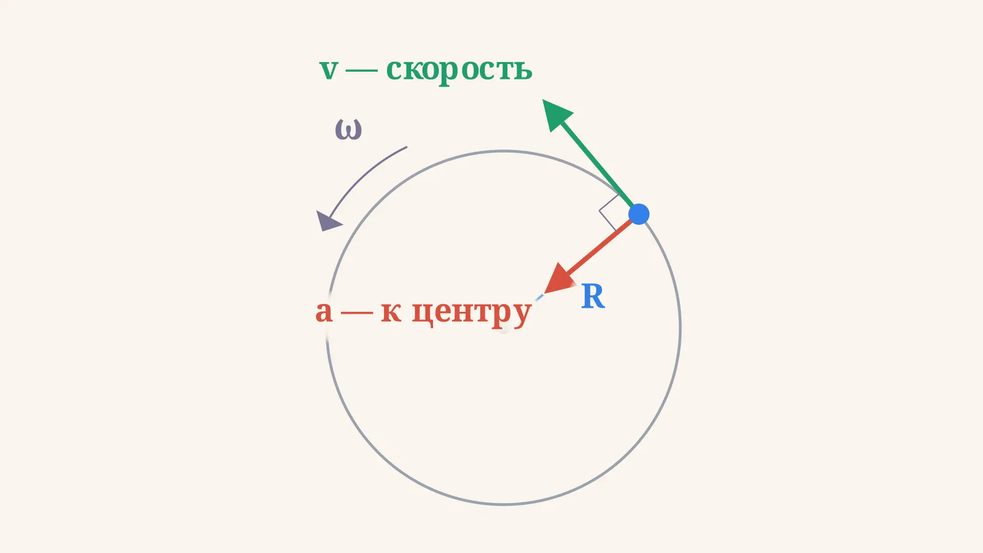 Равномерное движение по окружности: скорость и ускорение