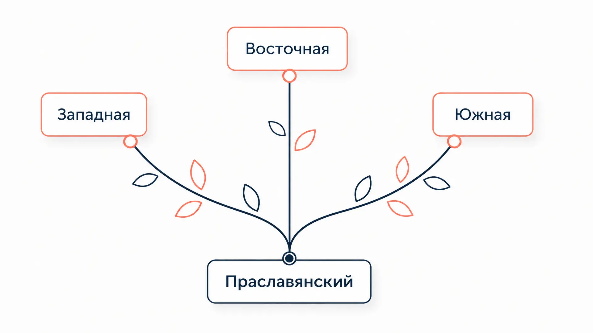 Классификация славянских языков: ветви и языки