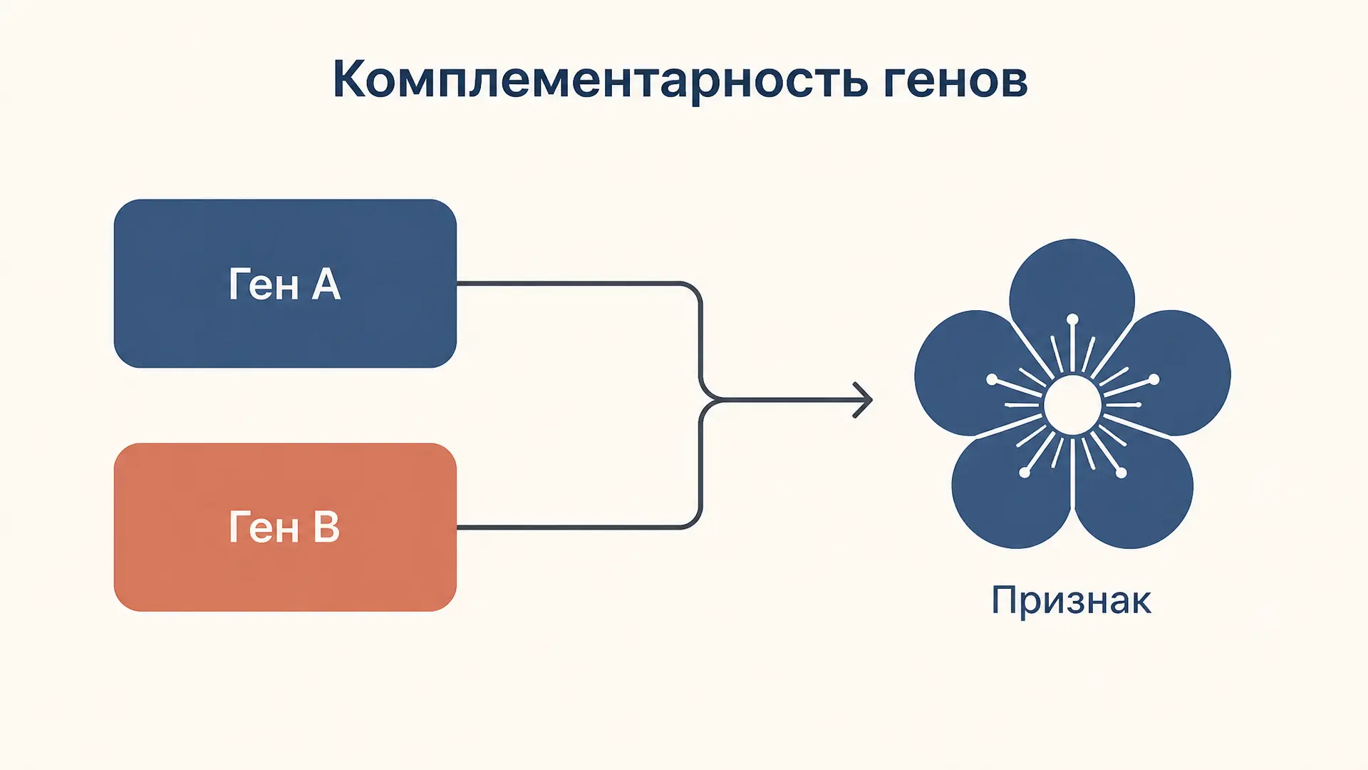 Комплементарность генов: расщепления 9:7, 9:6:1 и 9:3:3:1