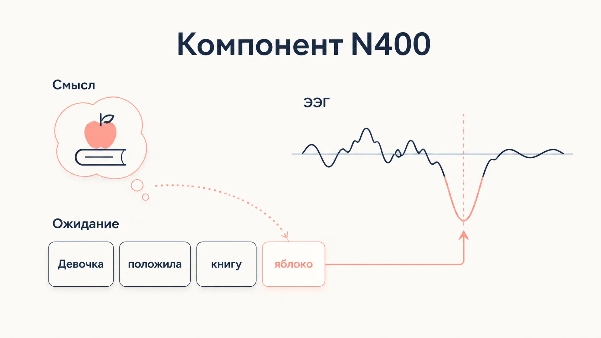 Компонент N400: смысл, ожидание и мозговой ответ
