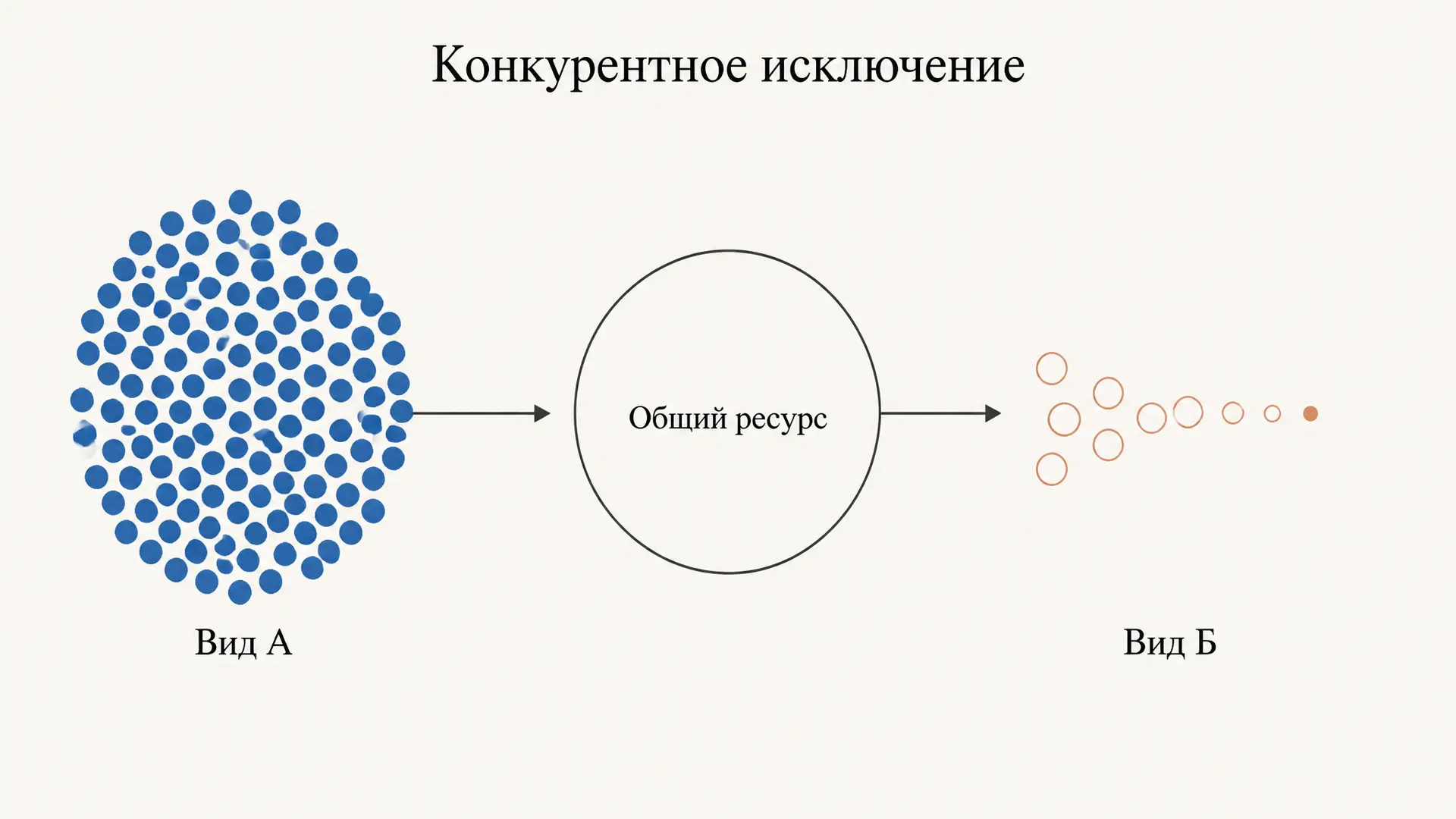Конкурентное исключение: механизмы и примеры в природе