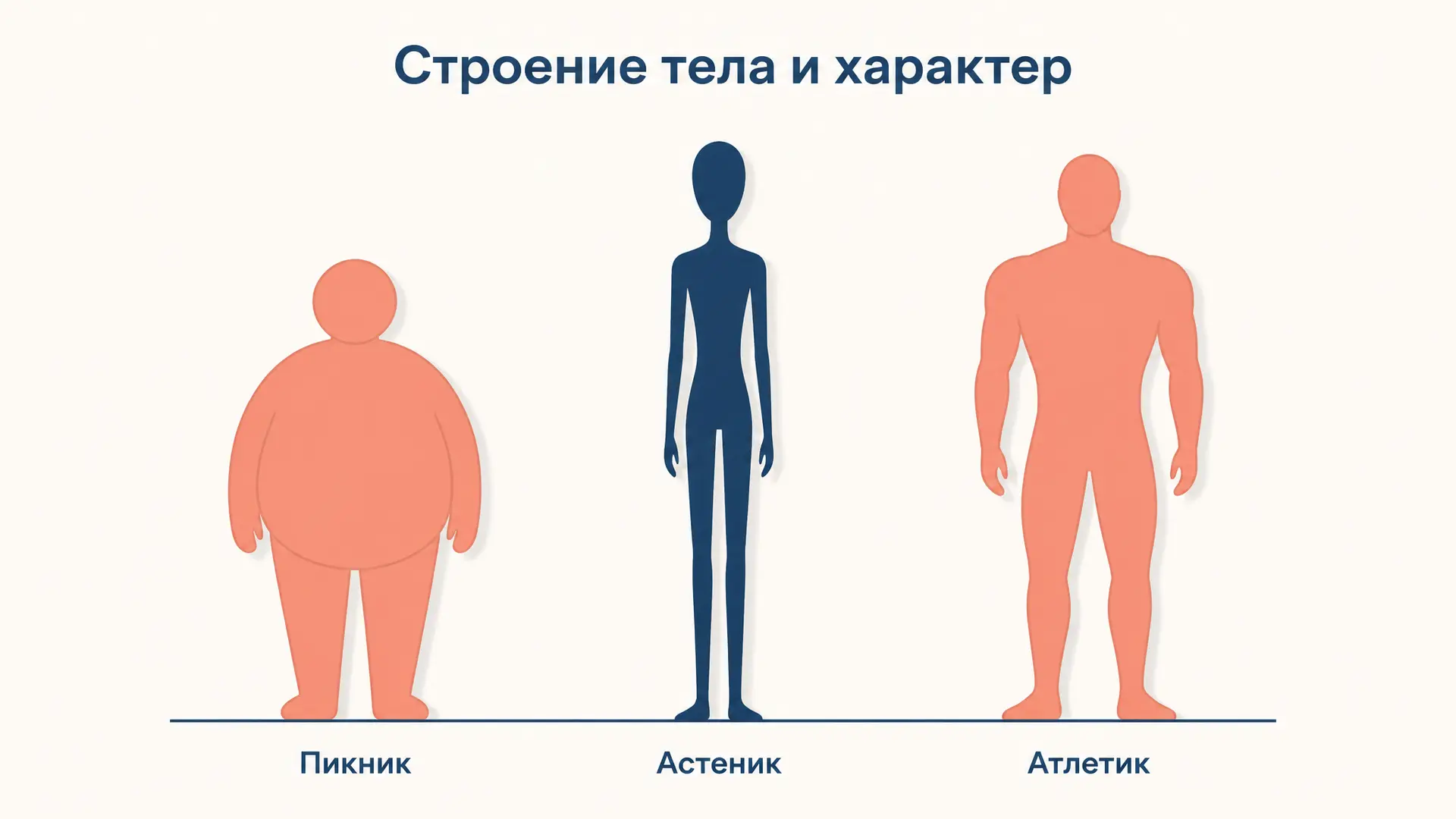 Конституциональная типология Кречмера: тело и характер