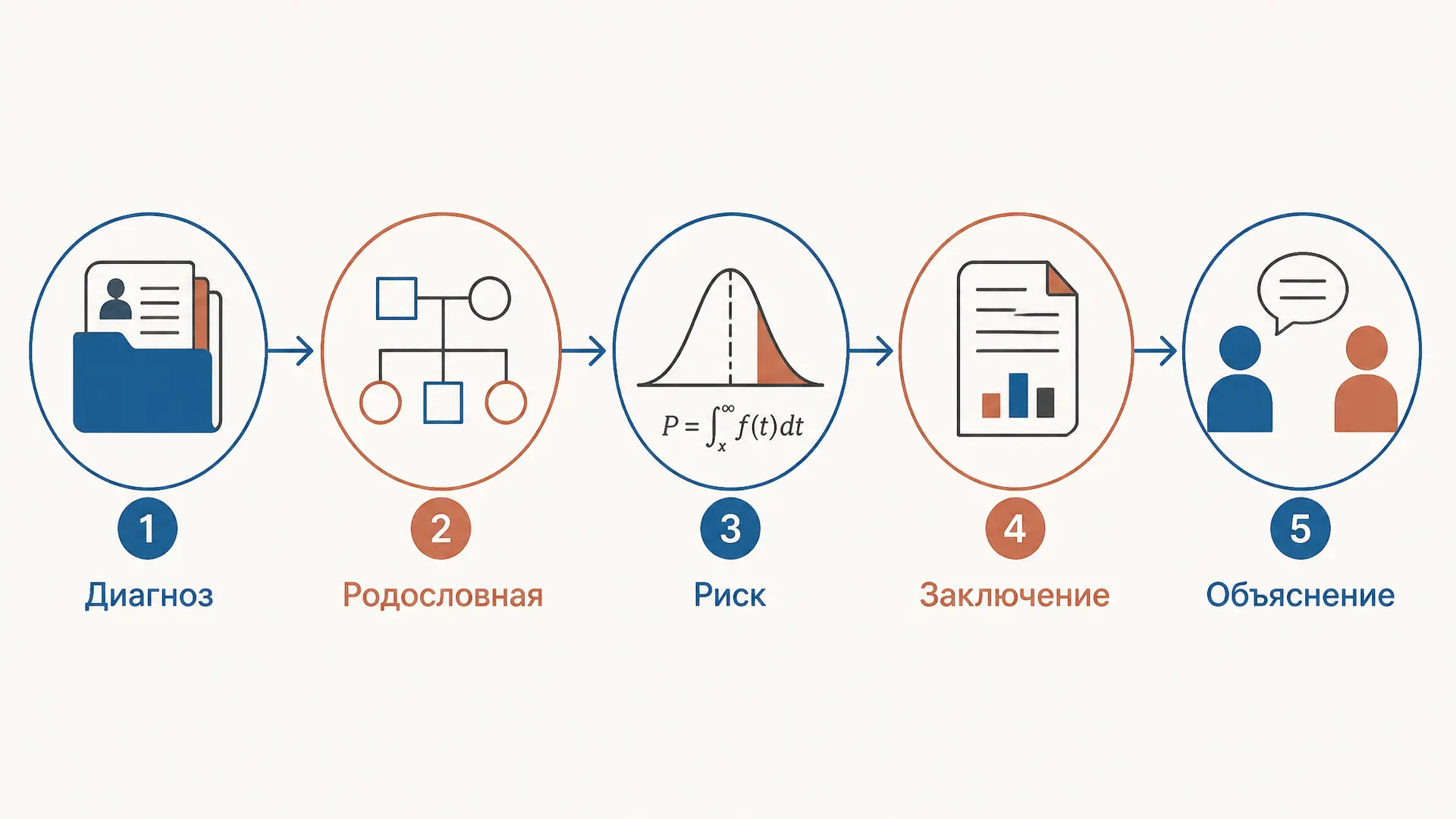 Медико-генетическое консультирование: этапы и риски