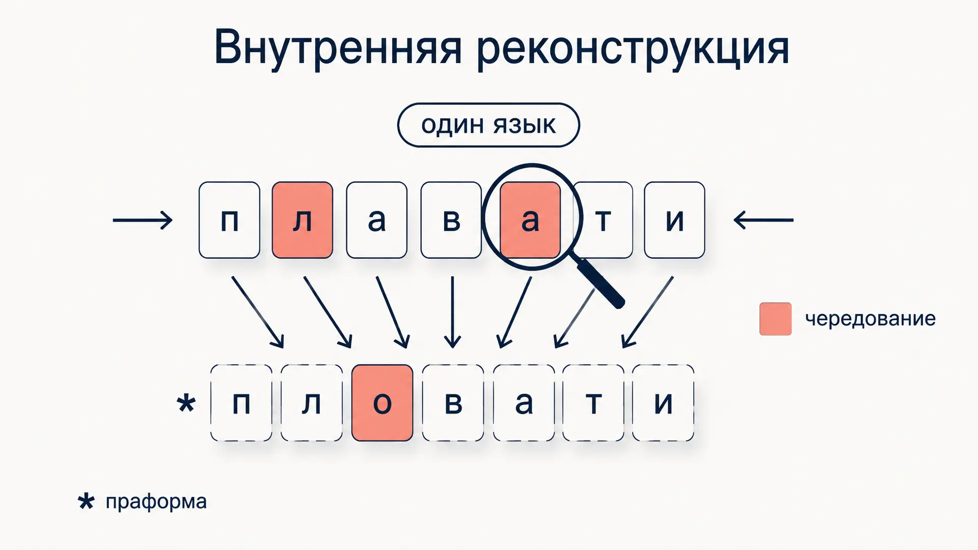 Метод внутренней реконструкции: как восстановить праформу