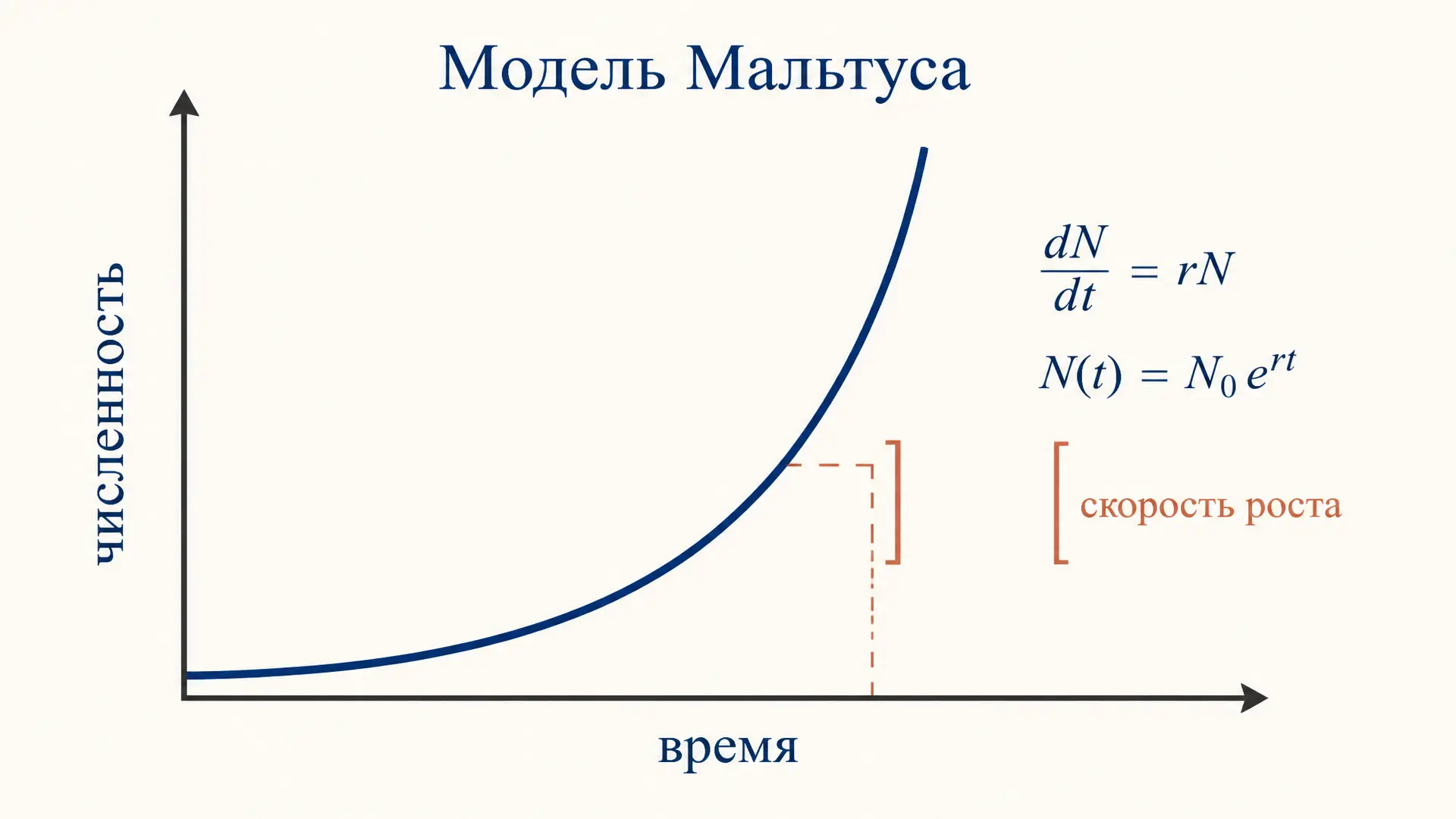 Модель Мальтуса: экспоненциальный рост популяции