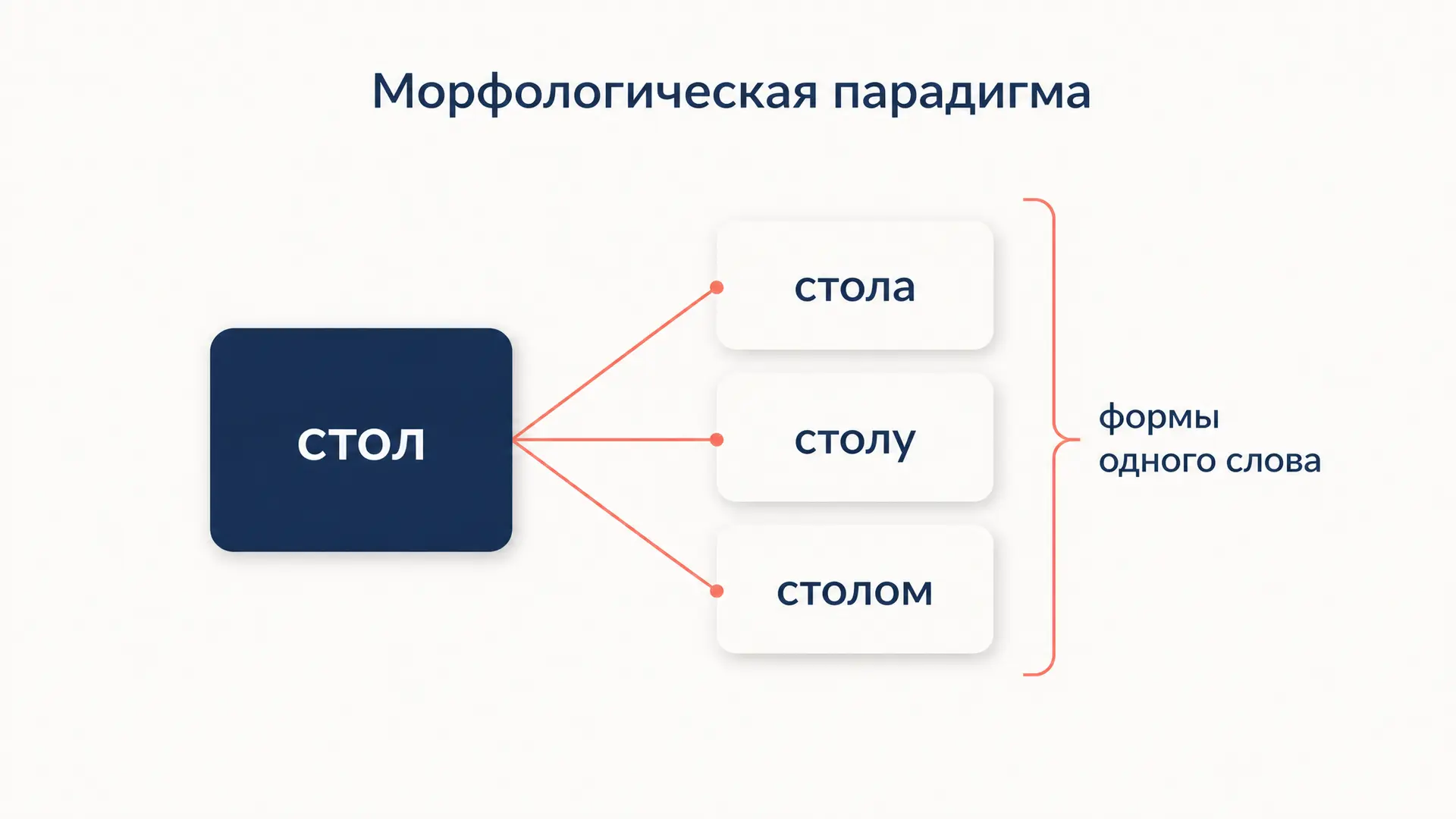 Морфологическая парадигма: виды, примеры и как выписать