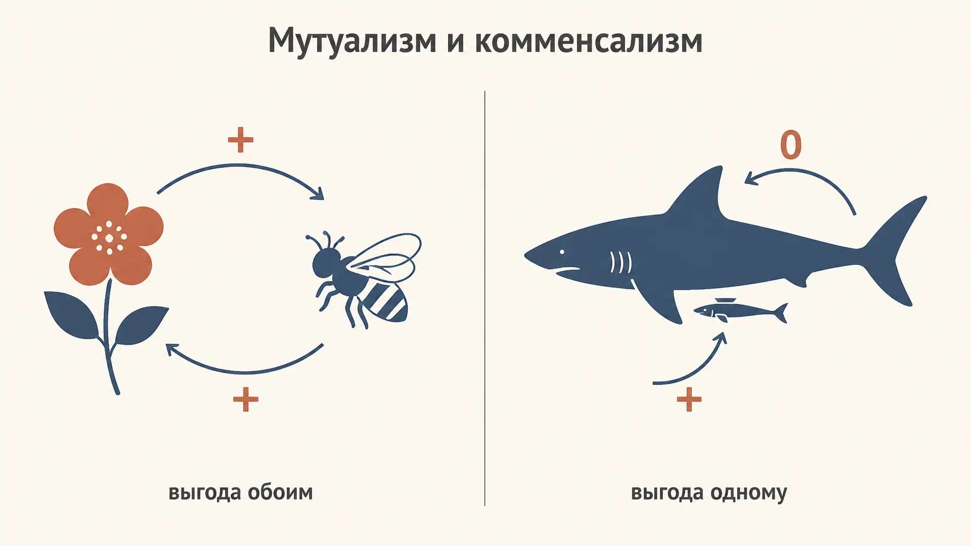 Мутуализм и комменсализм: как отличить по знакам