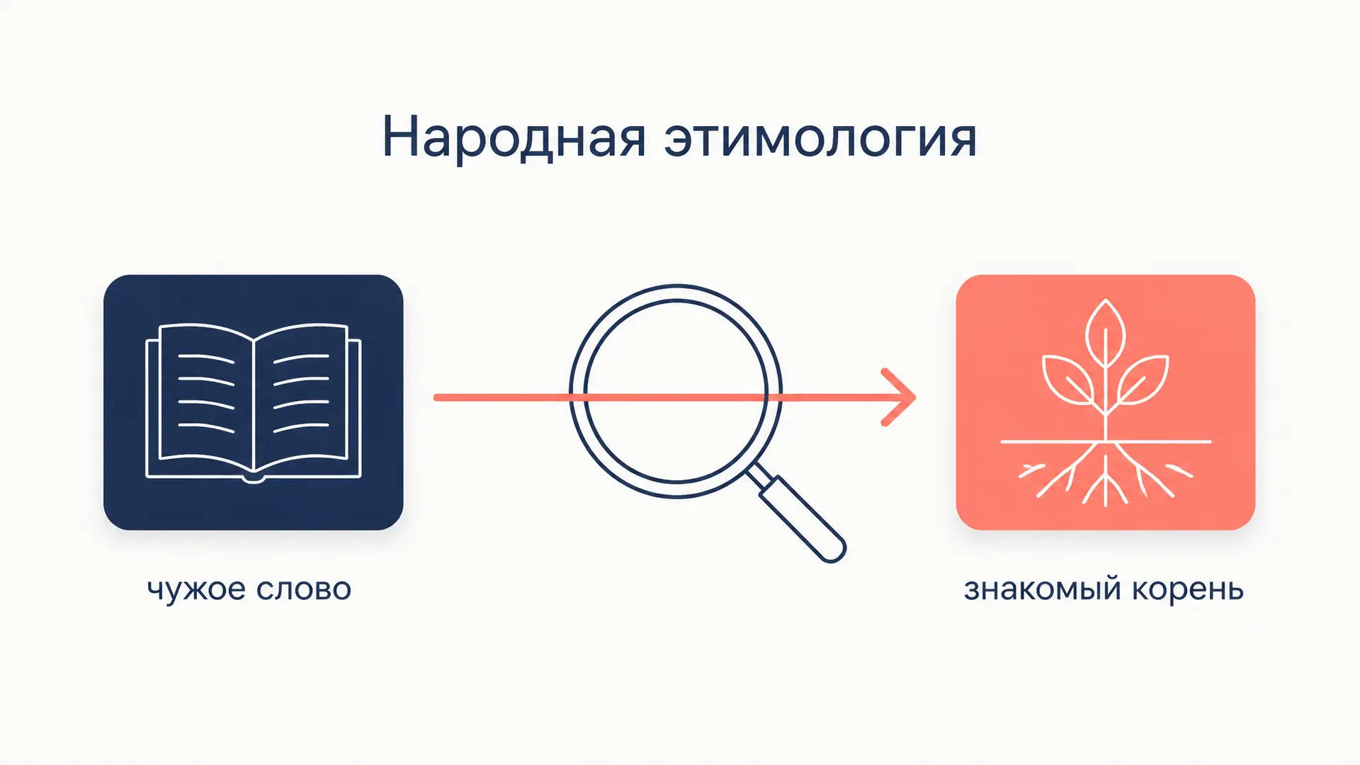 Народная этимология: как слово переосмысляют по созвучию