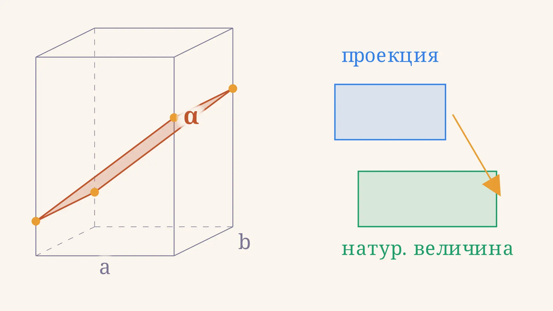 Натуральная величина сечения многогранника плоскостью