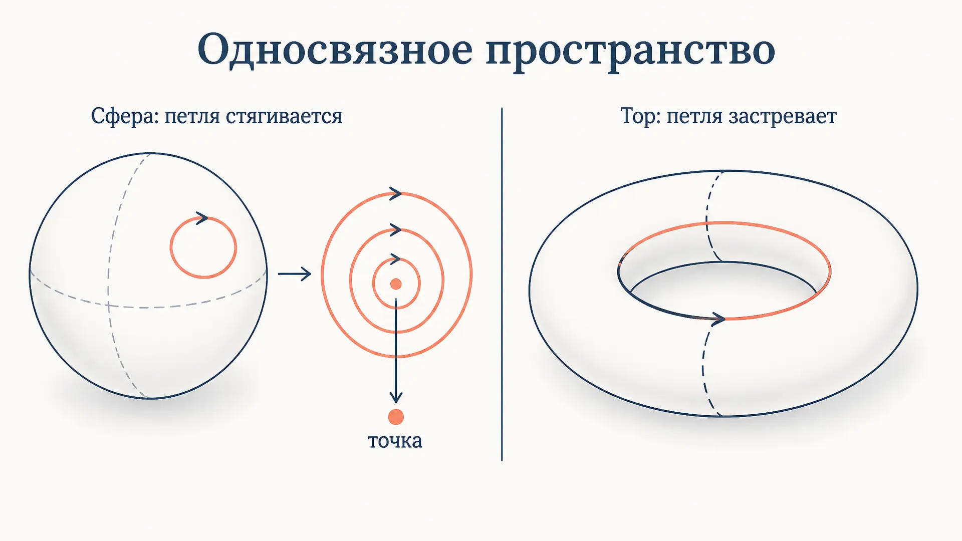 Односвязное пространство: определение и проверка через петли