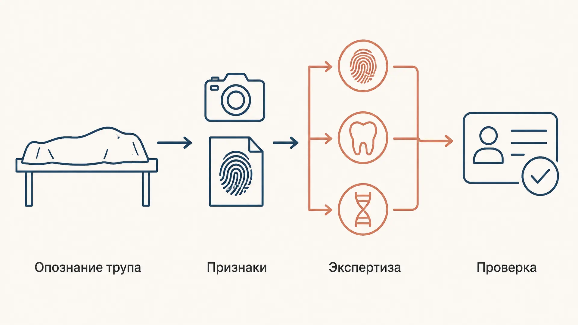 Опознание трупа: порядок и методы идентификации