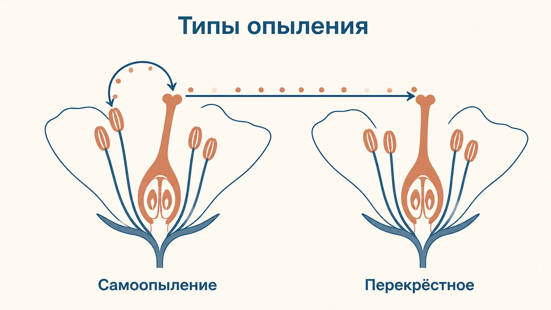 Опыление: типы, агенты переноса и приспособления