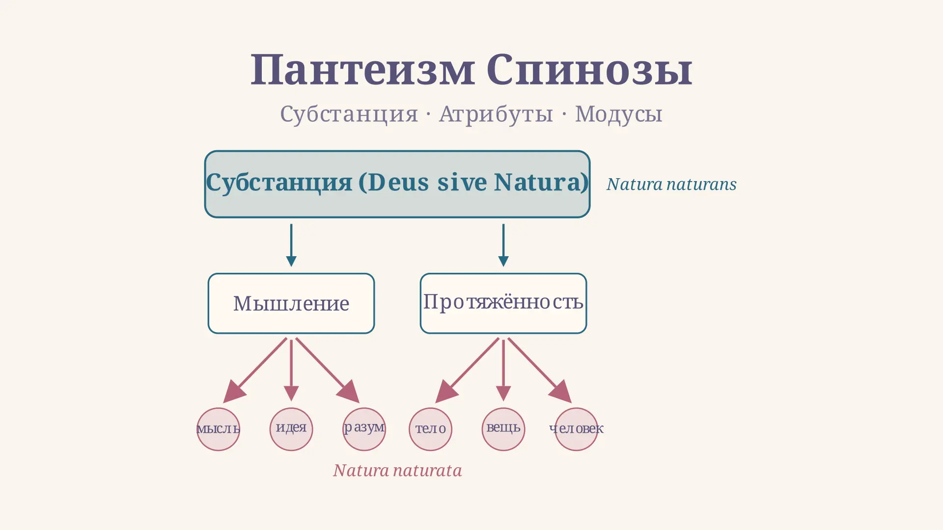 Пантеизм Спинозы: Бог, Природа и необходимость