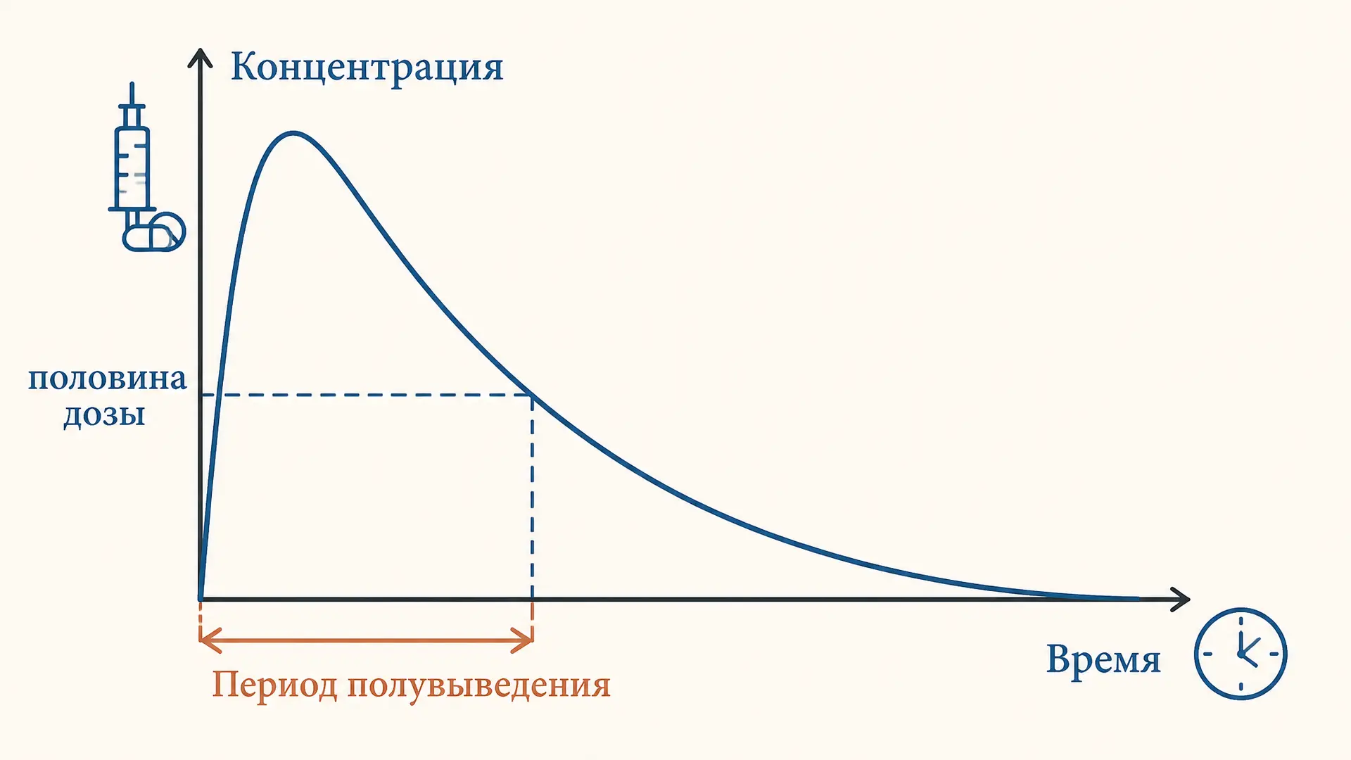 Период полувыведения: фармакокинетика простыми формулами