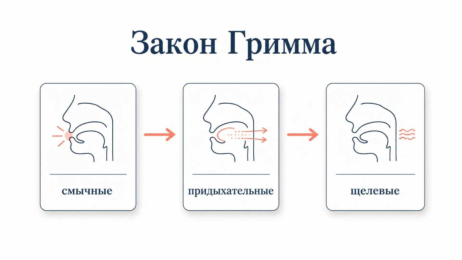 Первое передвижение согласных: закон Гримма простыми словами