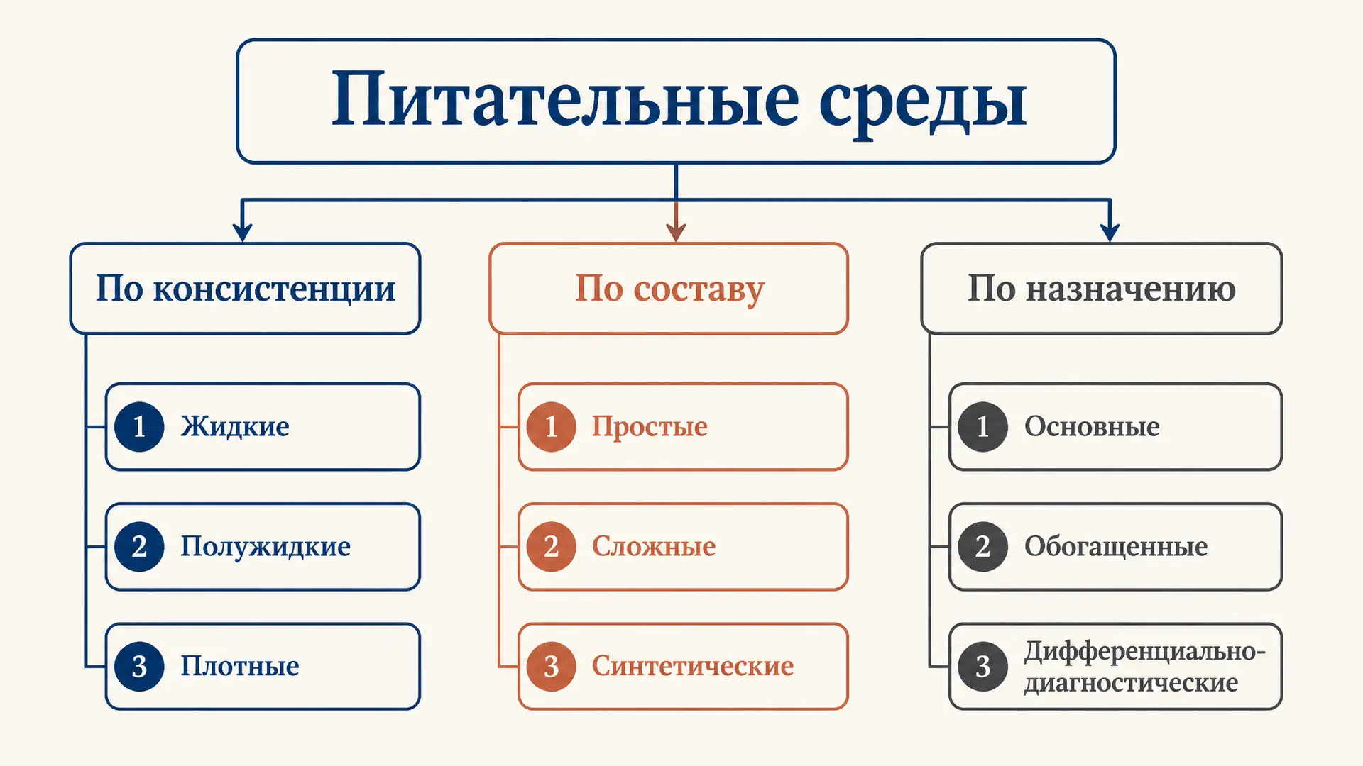 Питательные среды: классификация и состав в микробиологии