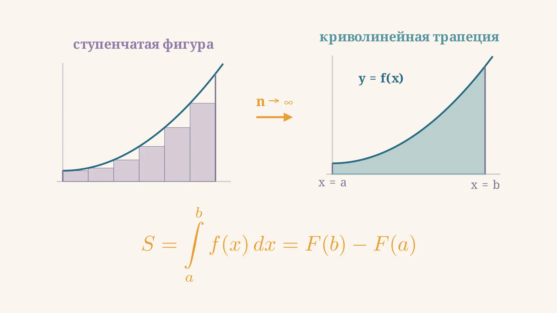 Площадь криволинейной трапеции: формула и примеры