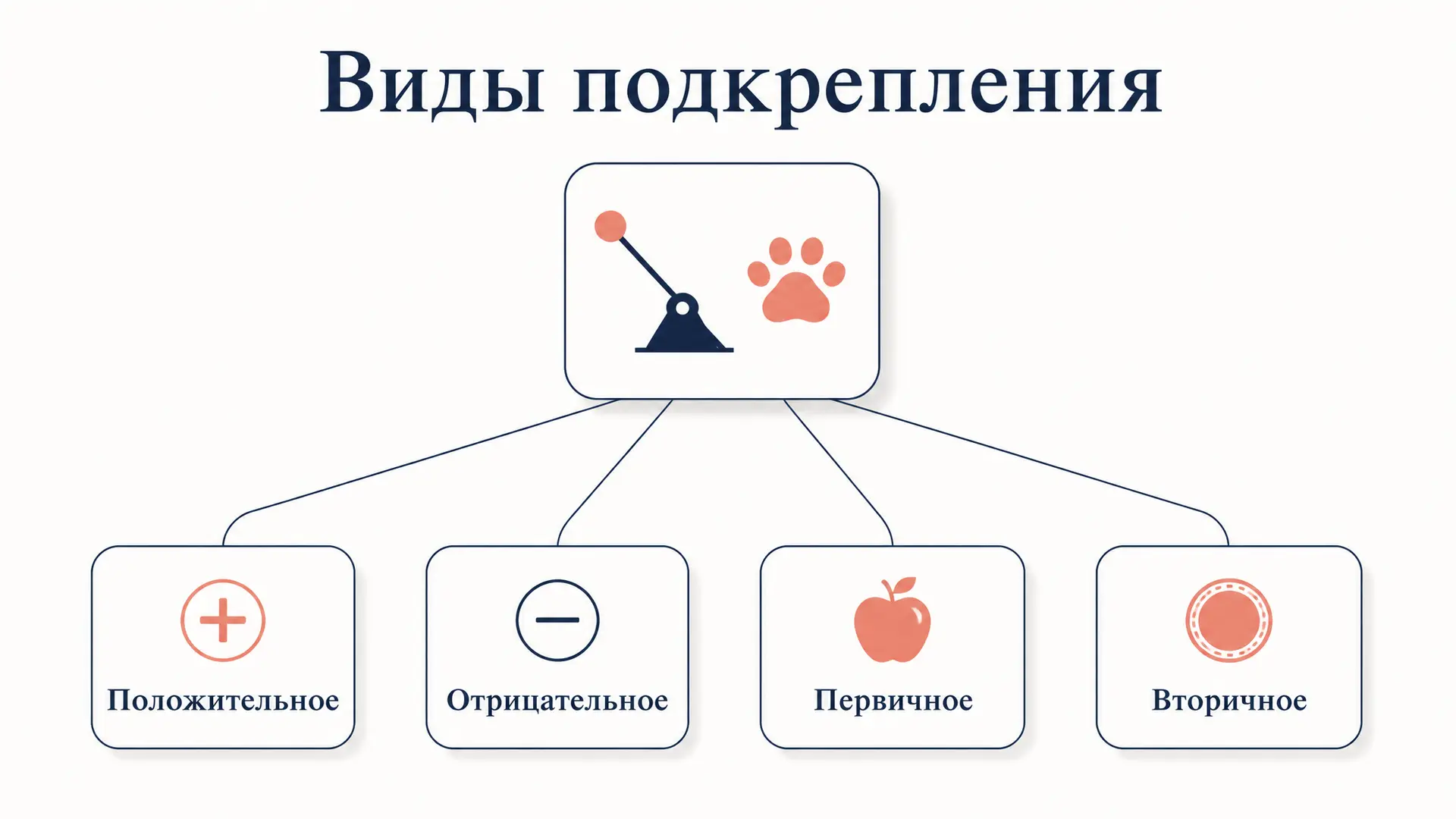 Подкрепление: виды, схемы и отличие от наказания