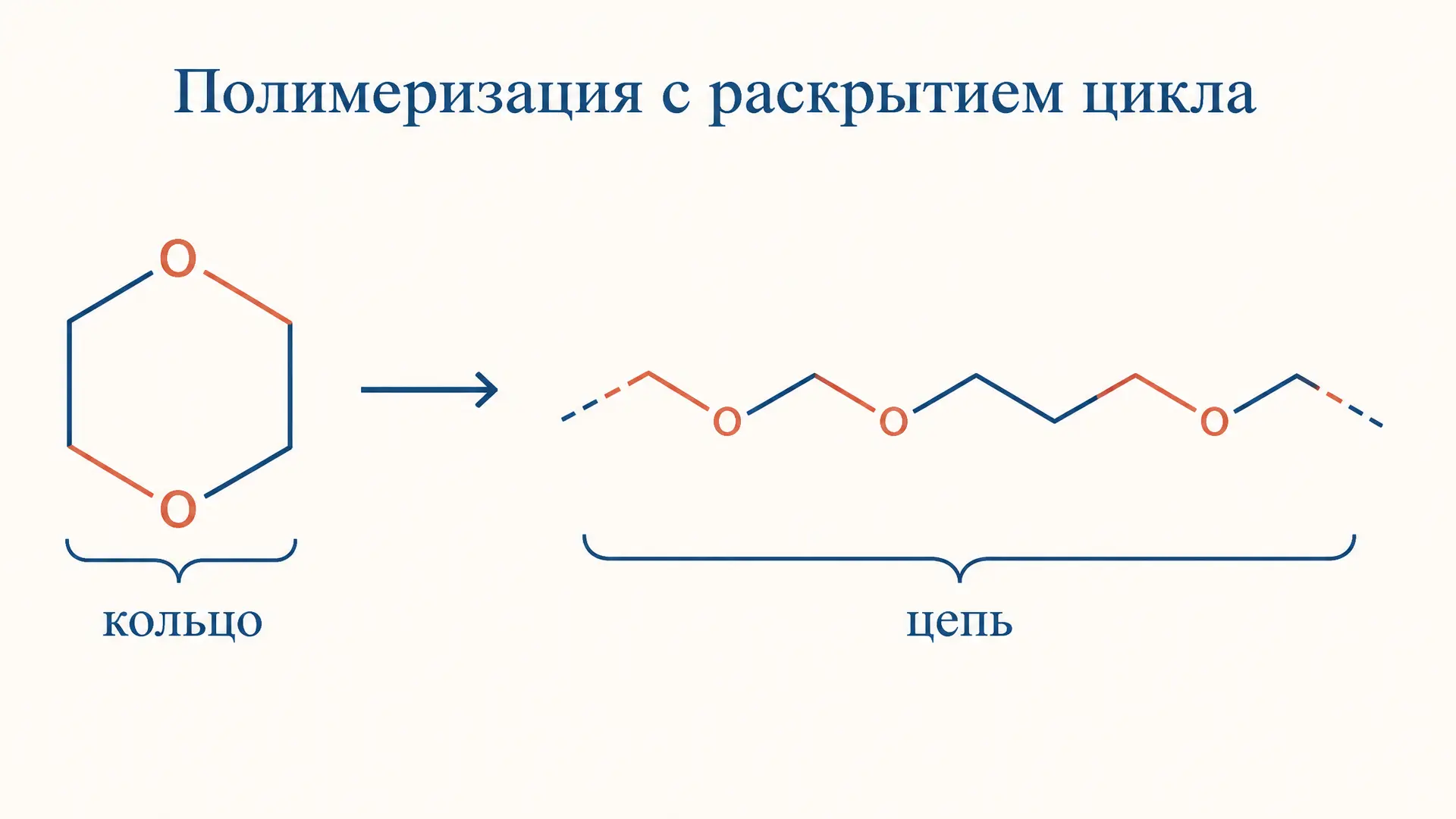 Полимеризация с раскрытием цикла: механизм и примеры