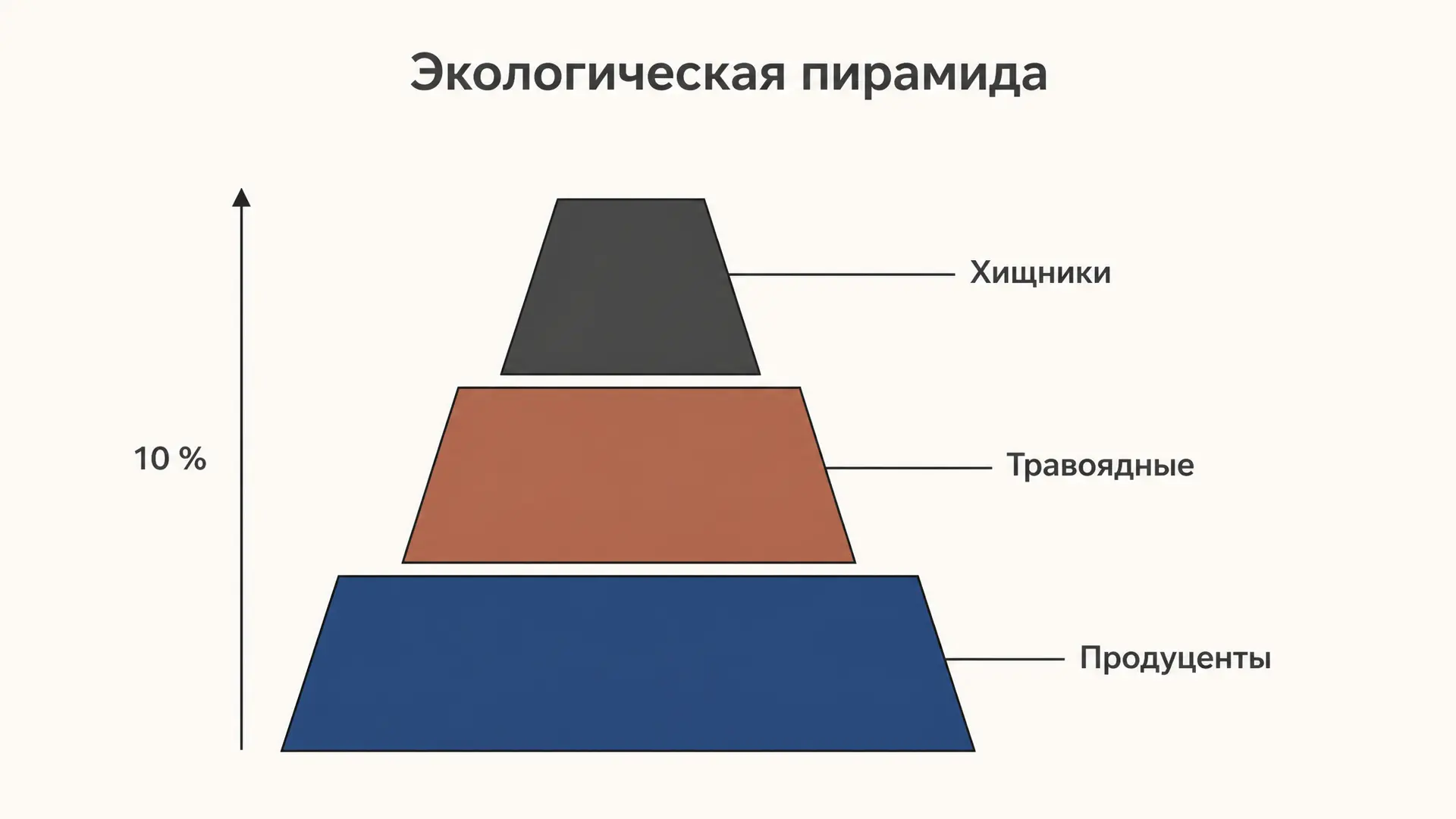 Правило экологической пирамиды: расчёт по 10 процентам