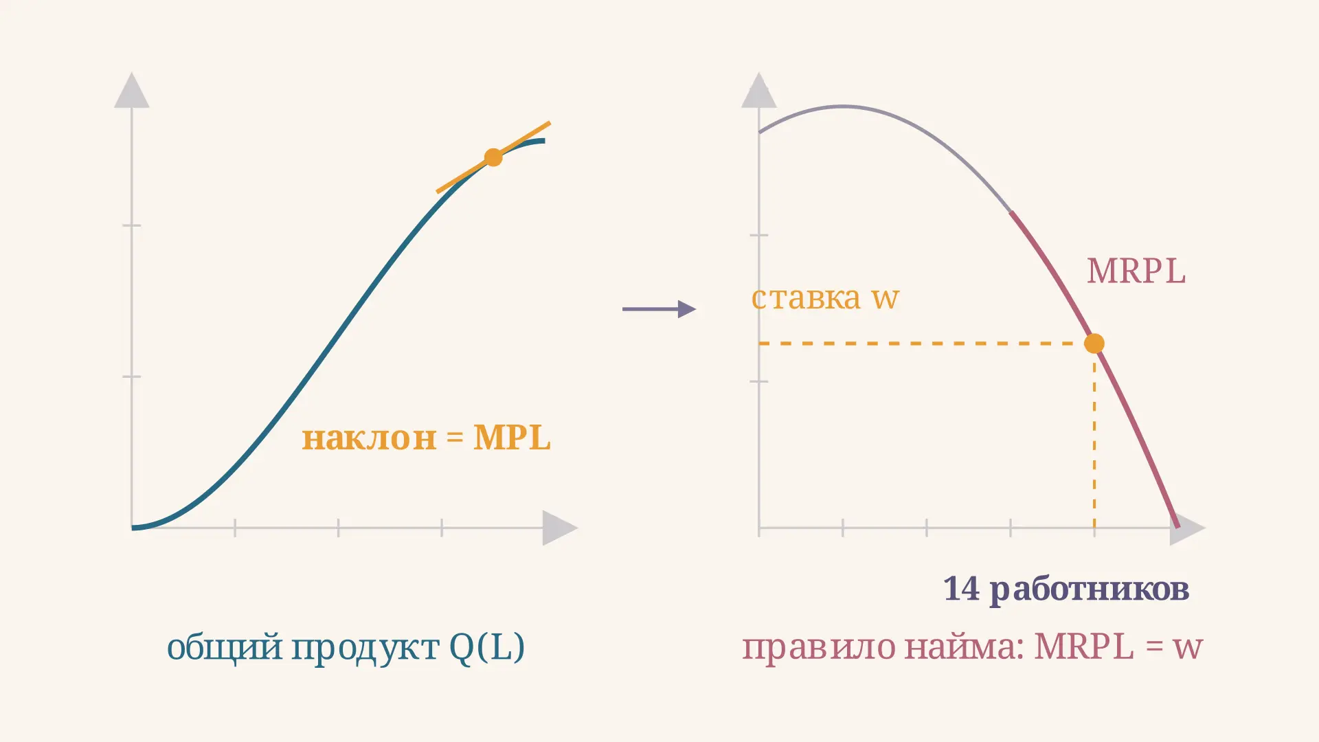 Предельный продукт труда: MPL и правило найма фирмы
