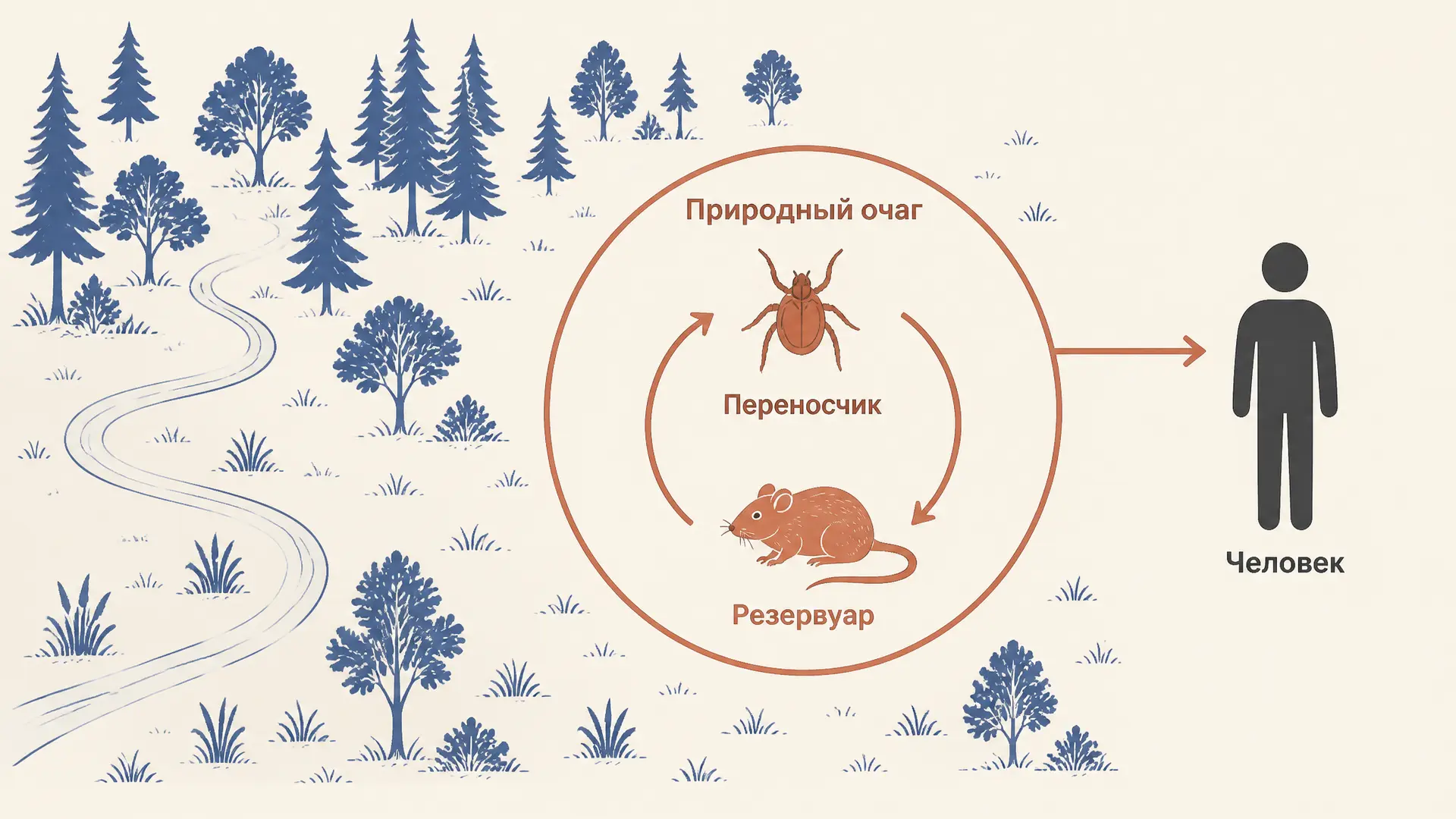 Природная очаговость Павловского: схема и примеры