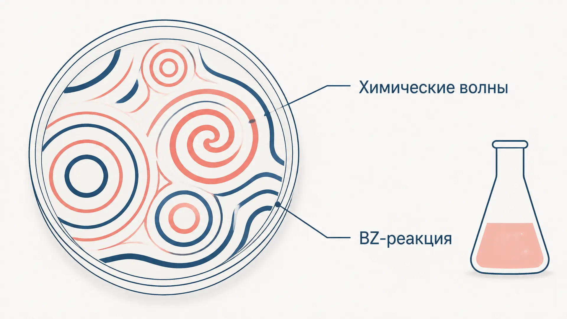 Реакция Белоусова-Жаботинского: химические волны