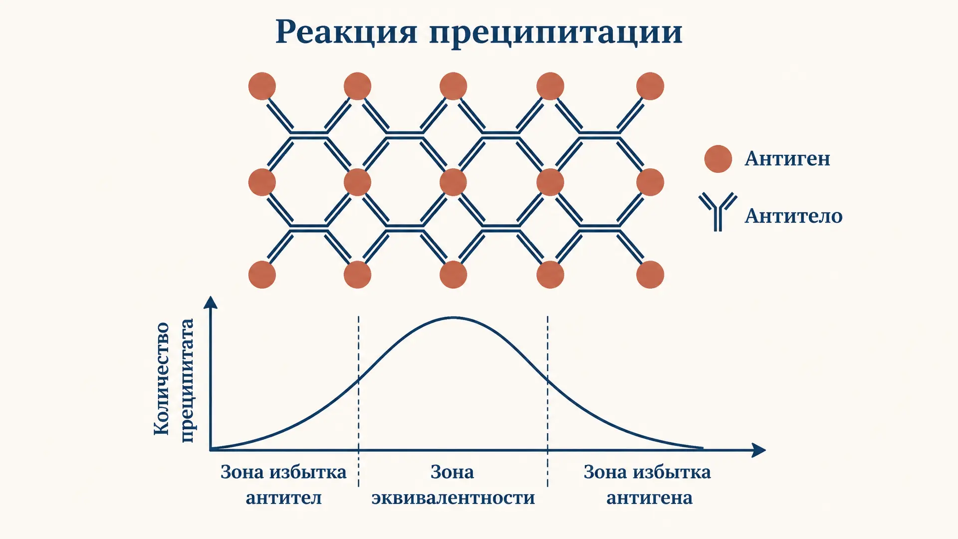 Реакция преципитации: механизм и постановка