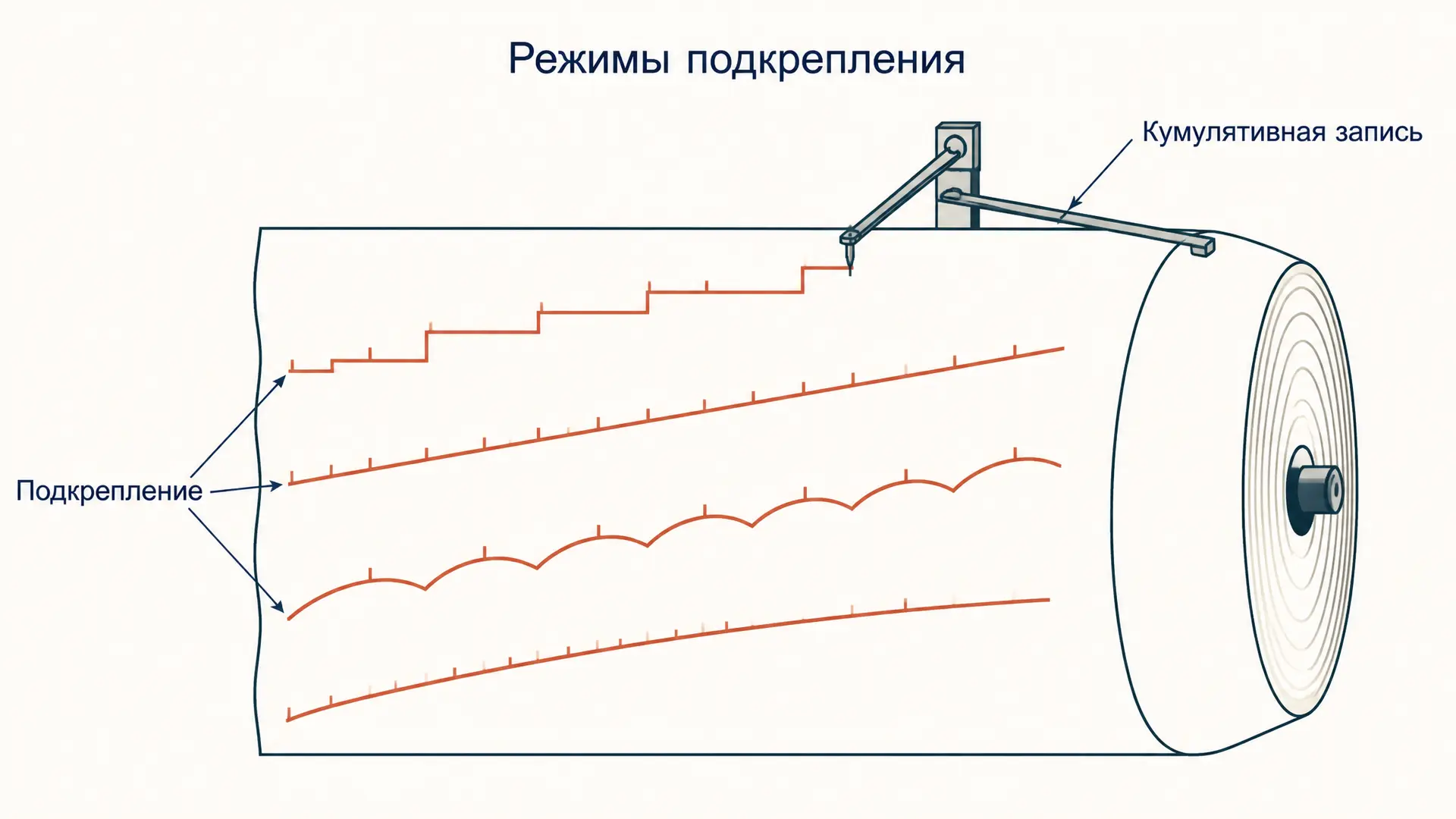 Режимы подкрепления: четыре схемы и кривые ответов