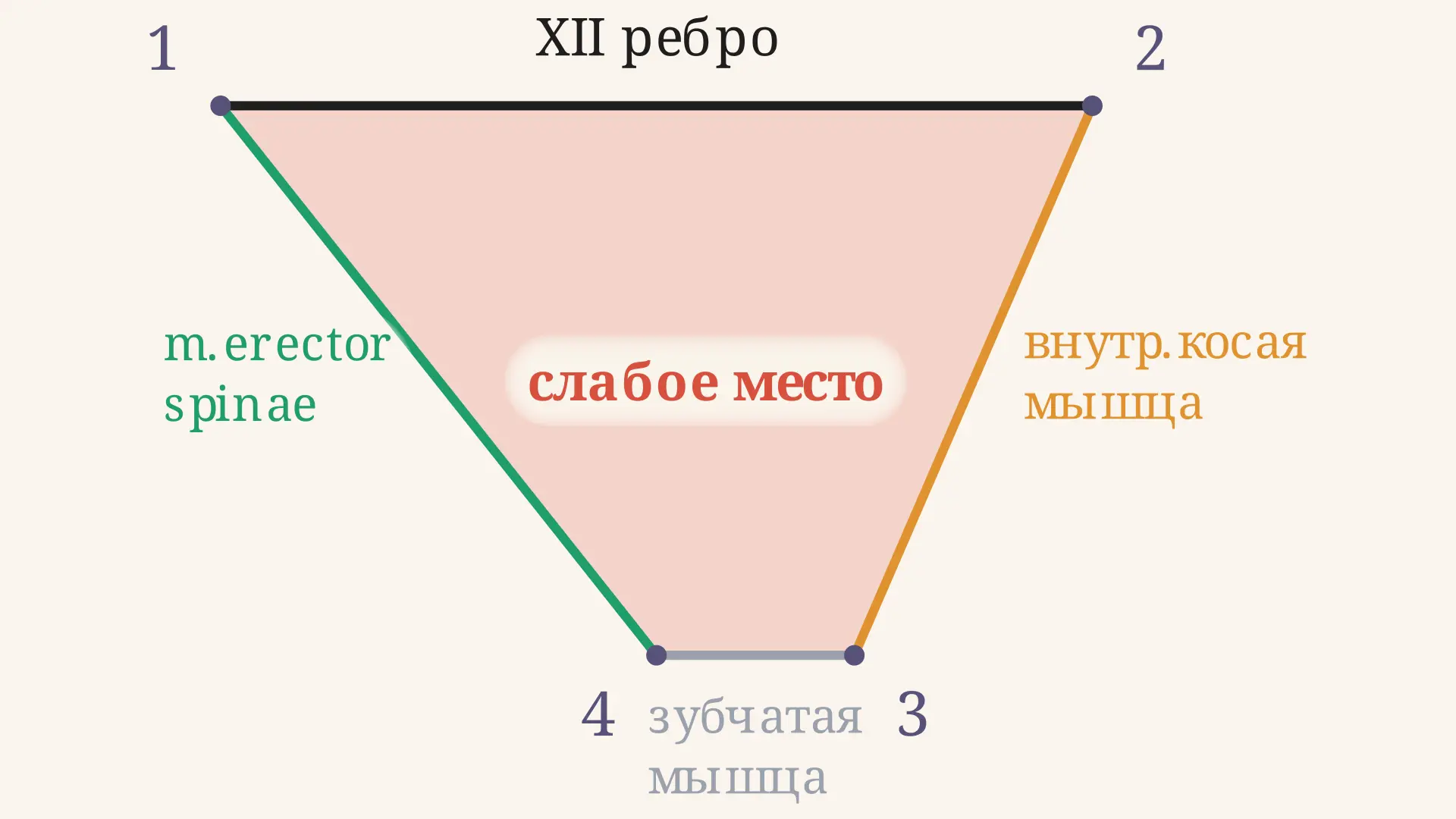 Ромб Лесгафта-Грюнфельда: границы и слабое место стенки