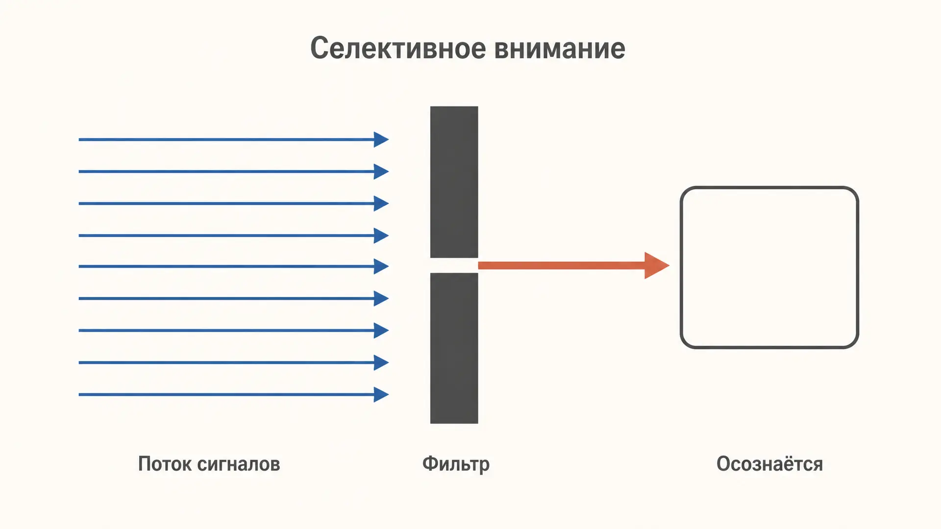 Селективное внимание: модели отбора информации